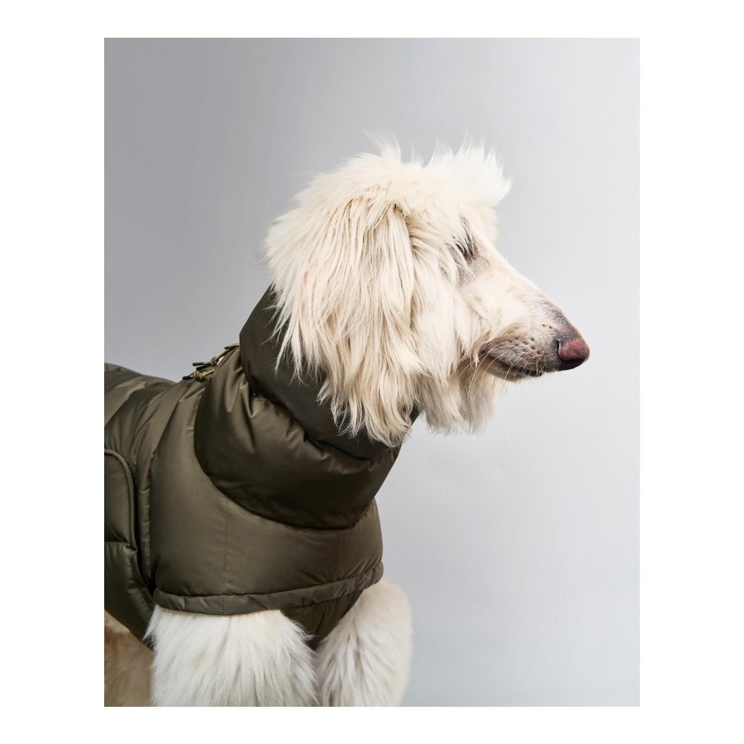 Cloud 7 Manteau d'hiver pour chien Alaska