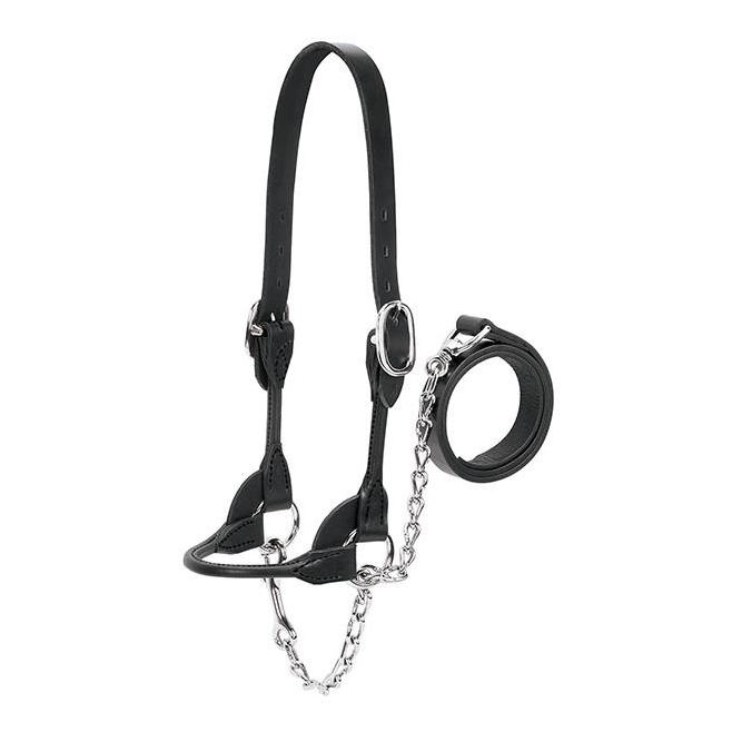 Weaver Livestock Showhalfter Milch-/Rindvieh