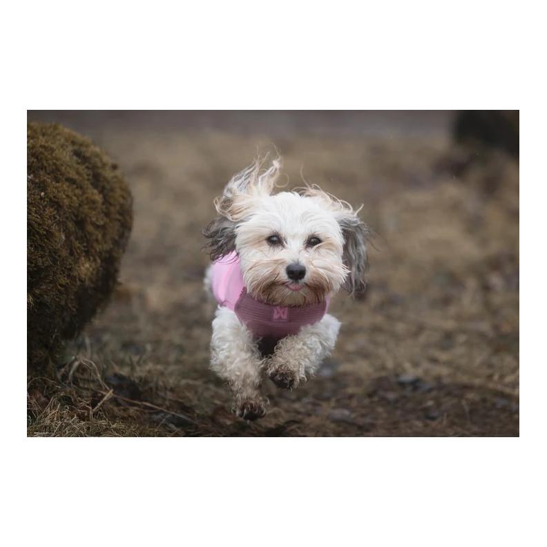 Non-stop Dogwear Pull pour chien Trail quest fleece pullover