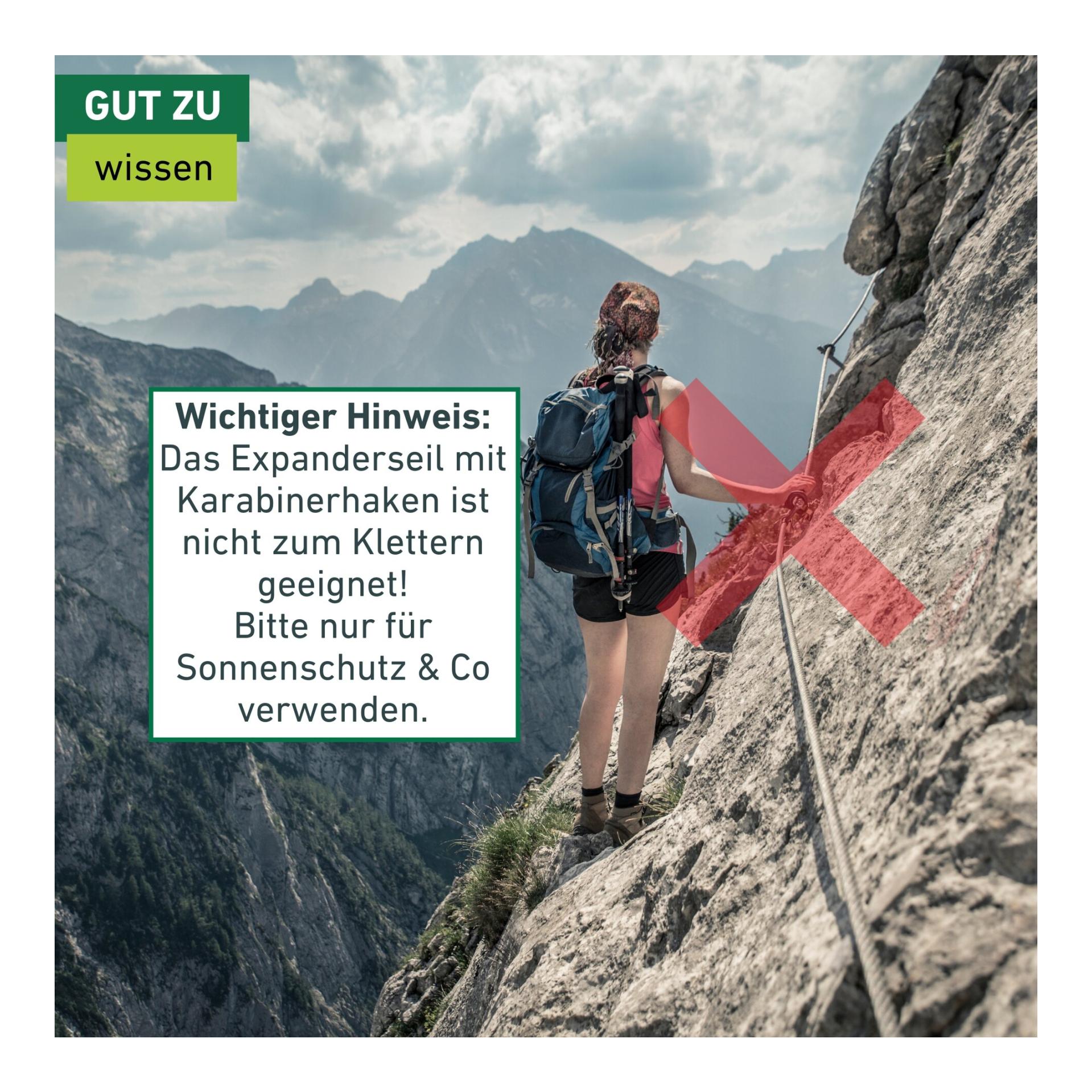 Windhager Expanderseil mit Karabiner 2 Stk.