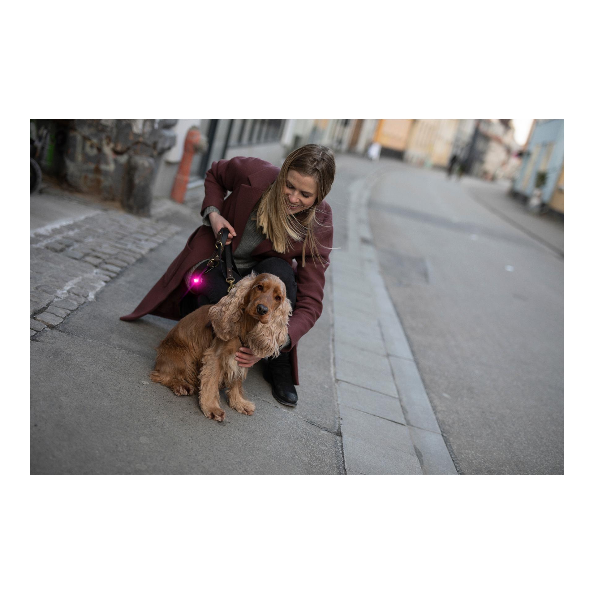 Orbiloc Safety Light Orbiloc Dog Dual – rose