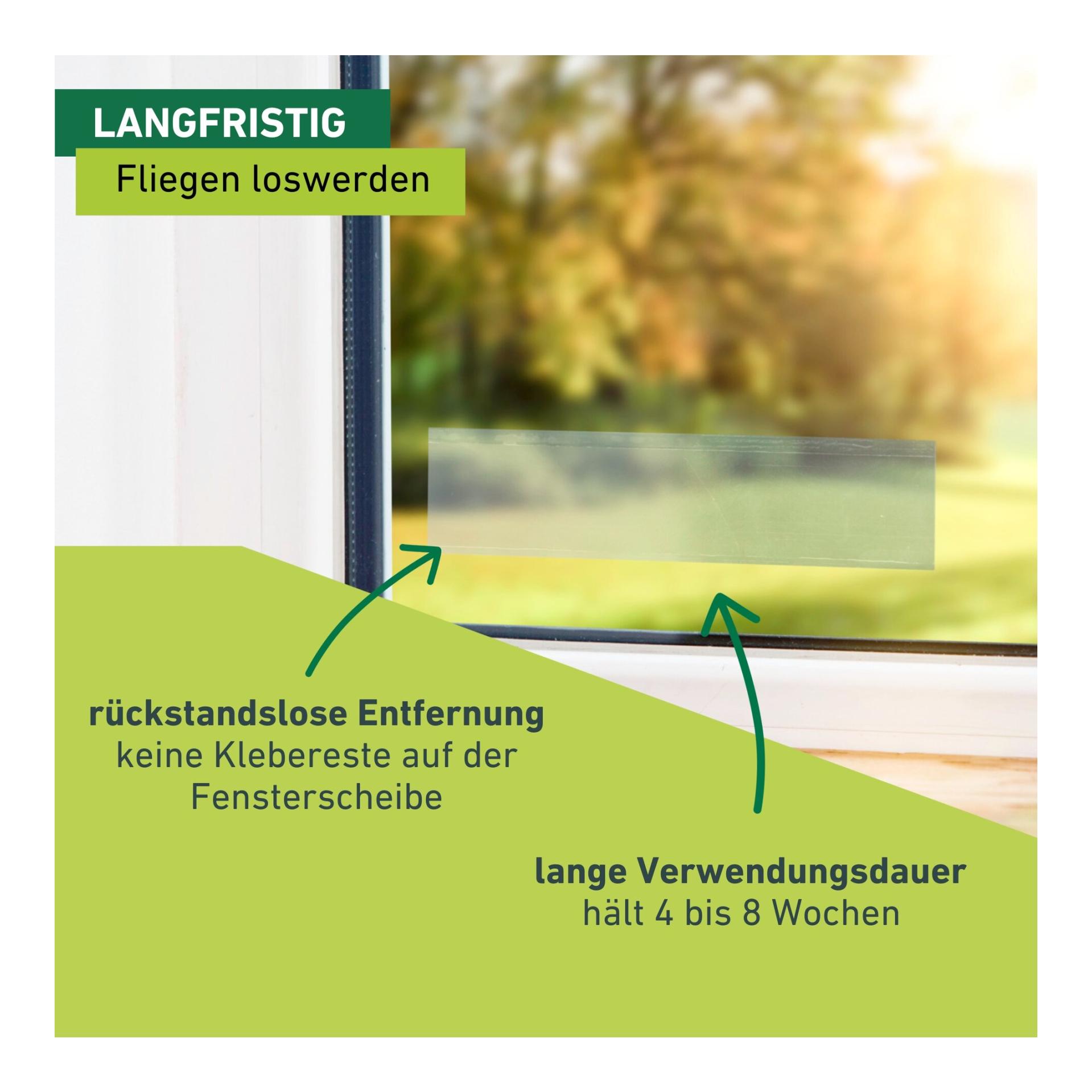 Windhager Fenster-Fliegenfalle