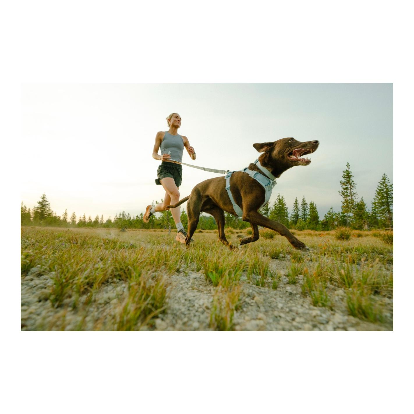 Ruffwear Front Range™ Flex Laisse pour chien