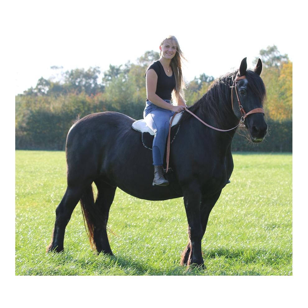 F.R.A Reitkissen Free - natur