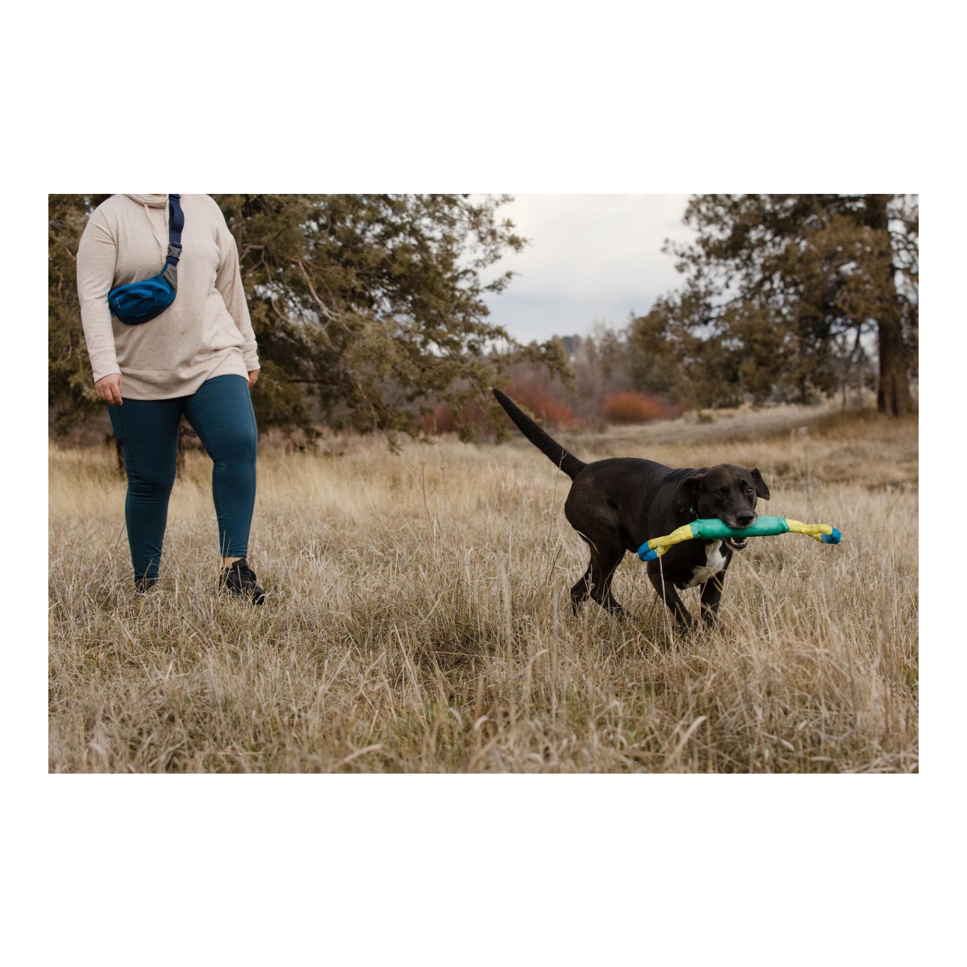 Ruffwear Pacific Loop™ Hundespielzeug