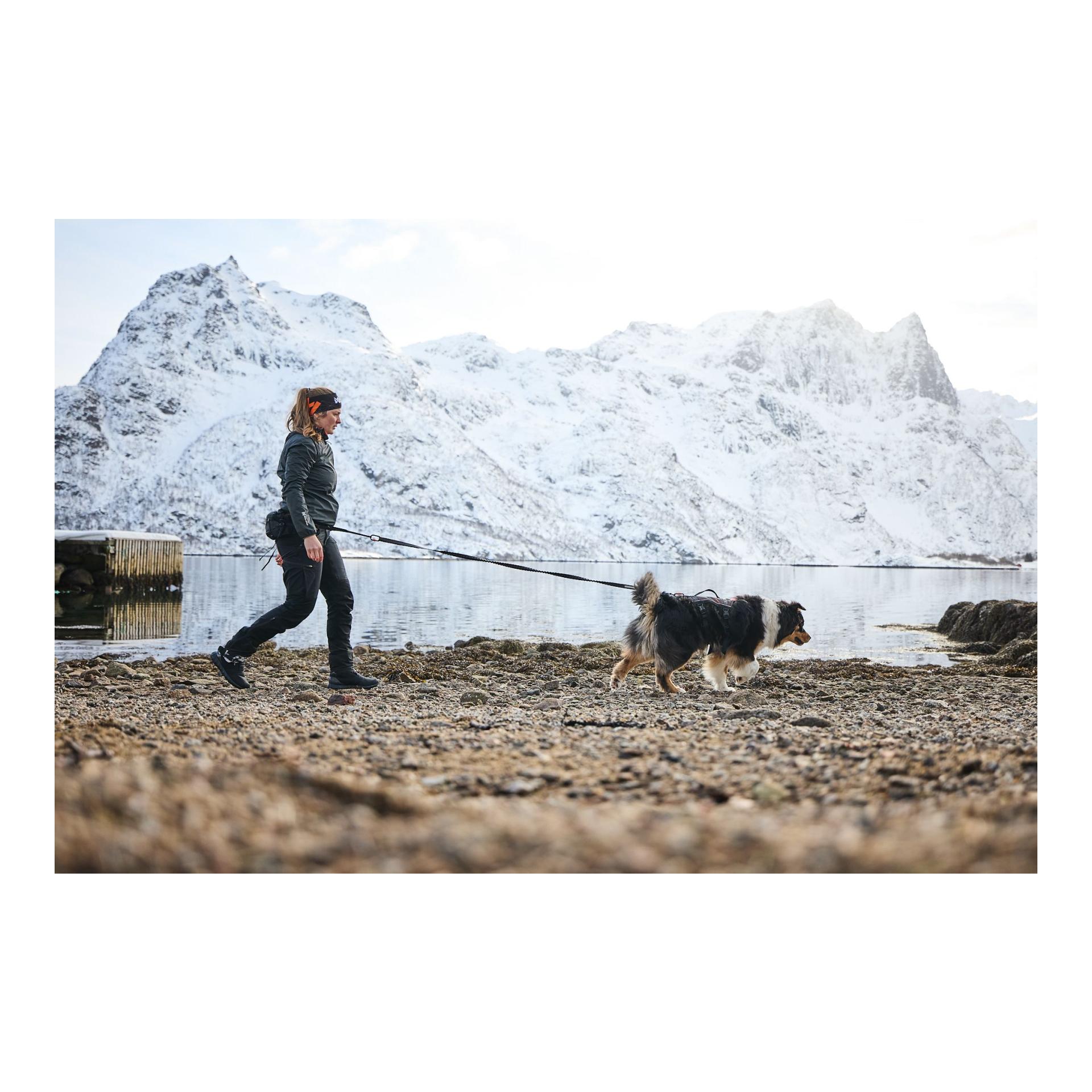 Non-stop Dogwear Hundegeschirr Rock Harness long