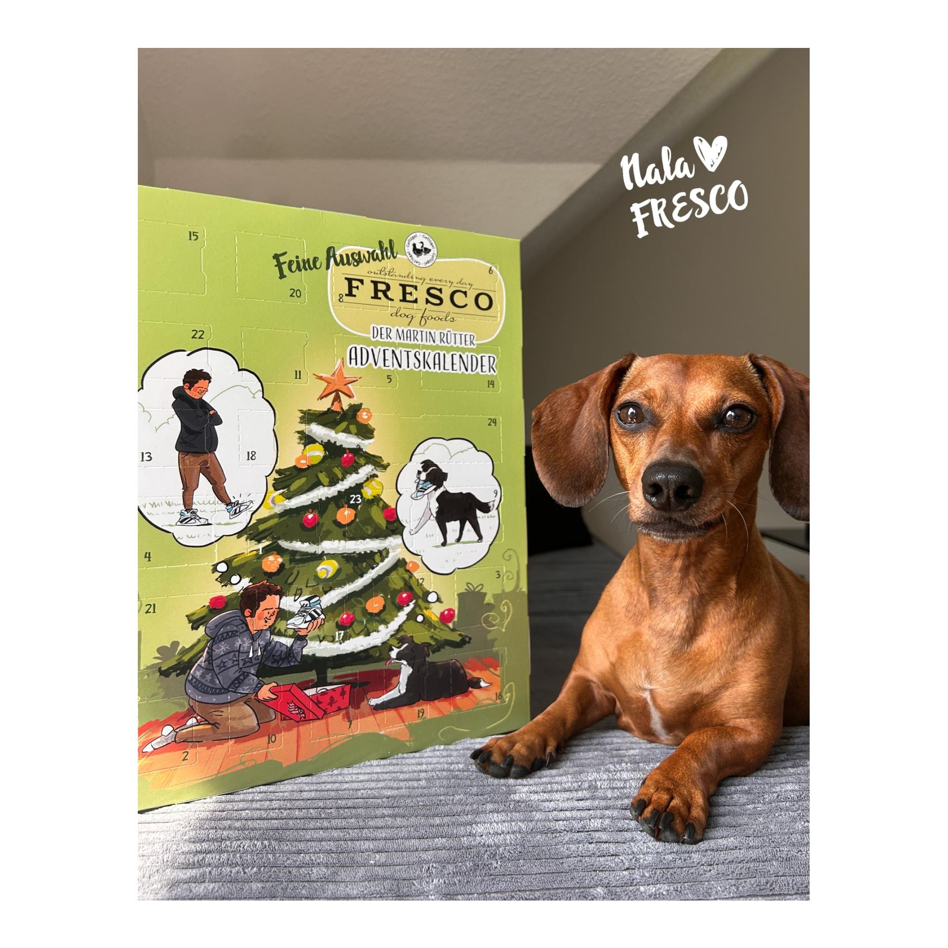 Fresco Martin Rütter Adventskalender „Feine Auswahl Geflügel Huhn + Ente“ – Das Original für Hunde