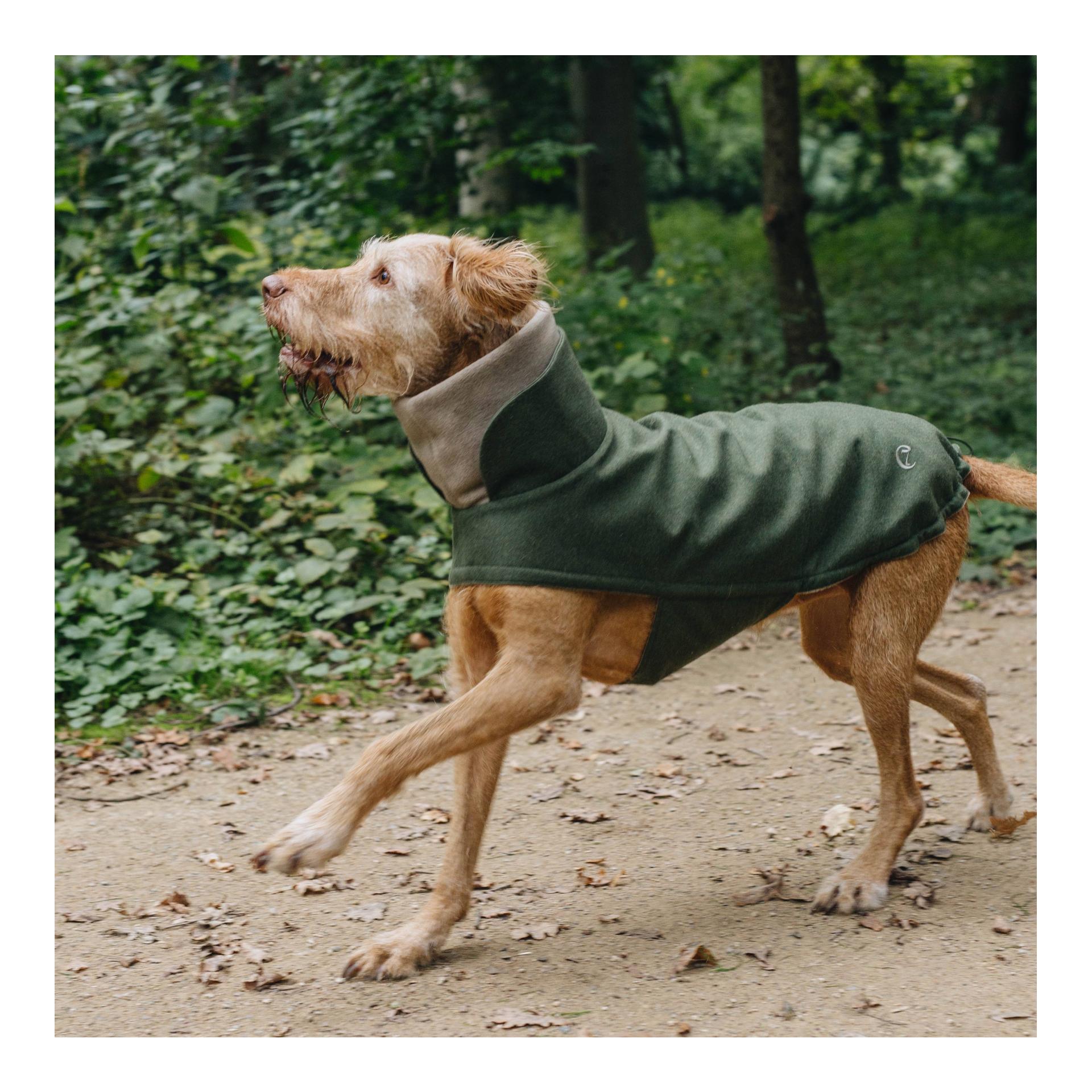Cloud 7 Hundemantel Brooklyn Regulär - fern green