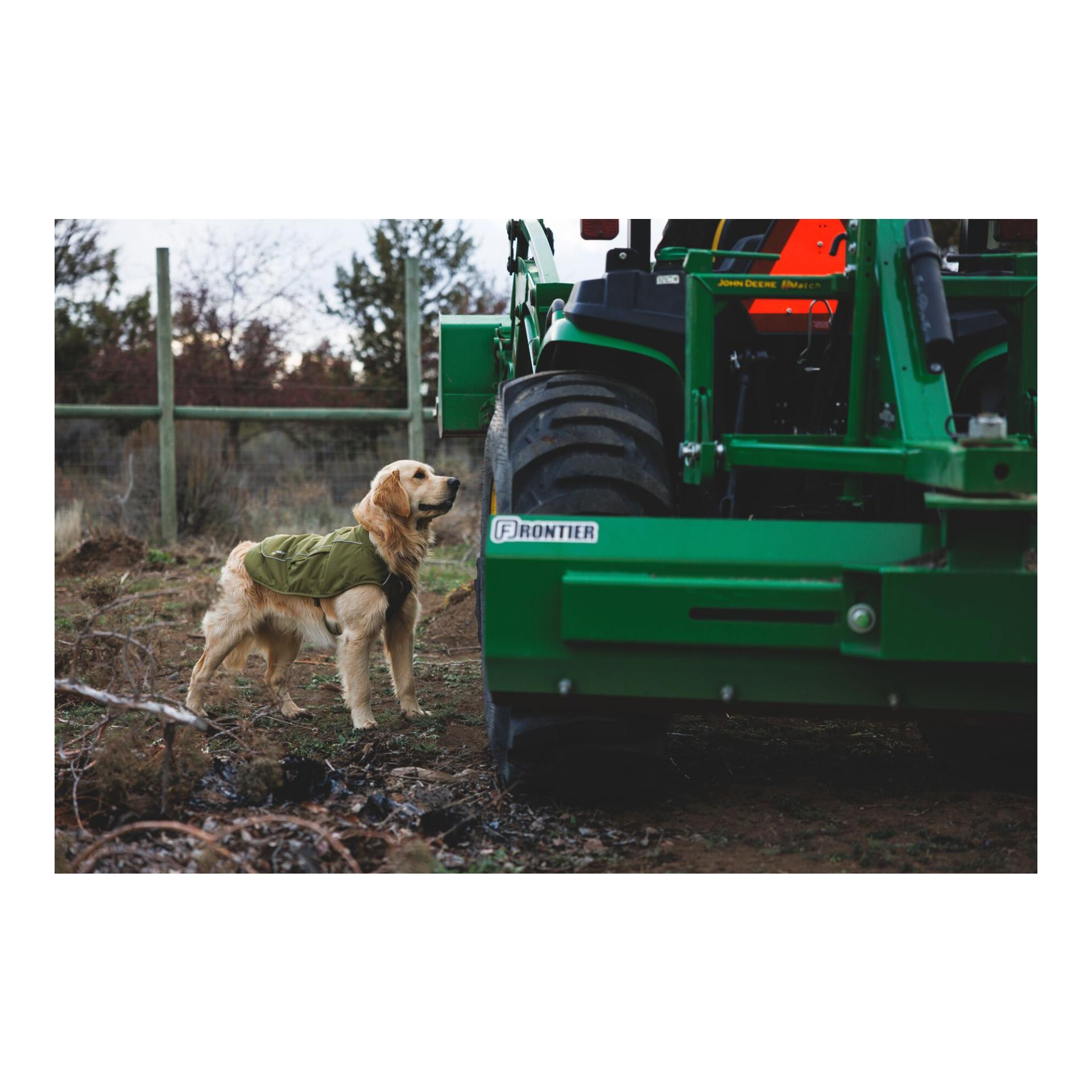 Ruffwear Gilet matelassé pour chien Overcoat Fuse™