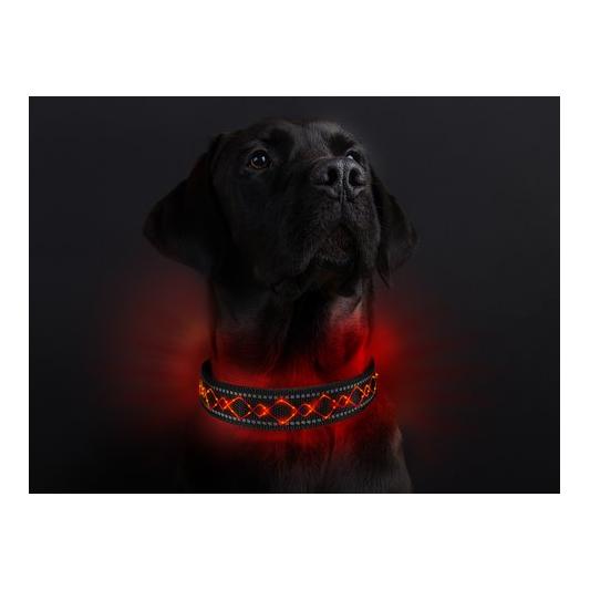 Animal Light Leucht-Hundehalsband "Beauty"