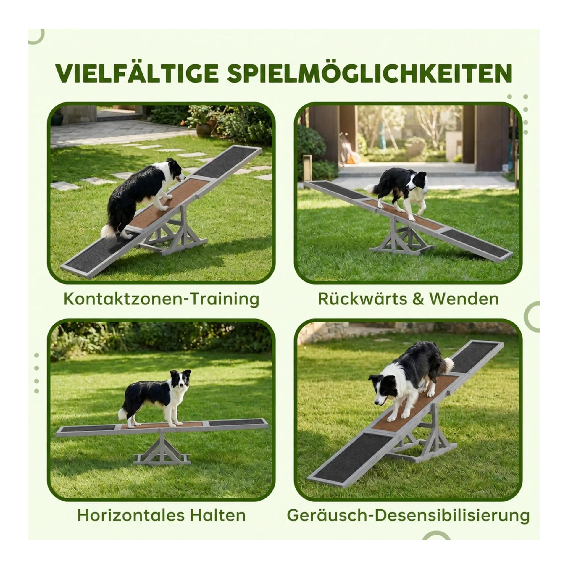 Mainer Hunde Aquility-Wippe