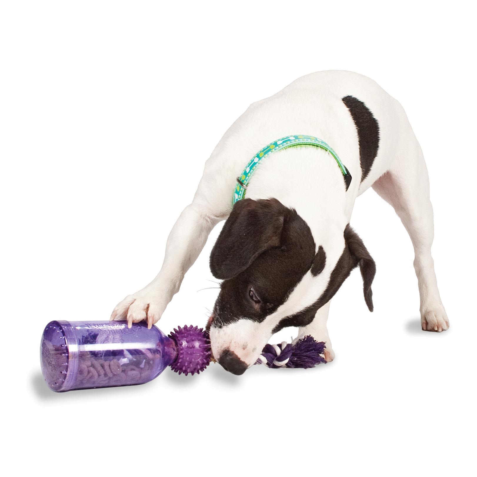 Busy Buddy Premier Flasche Spielzeug