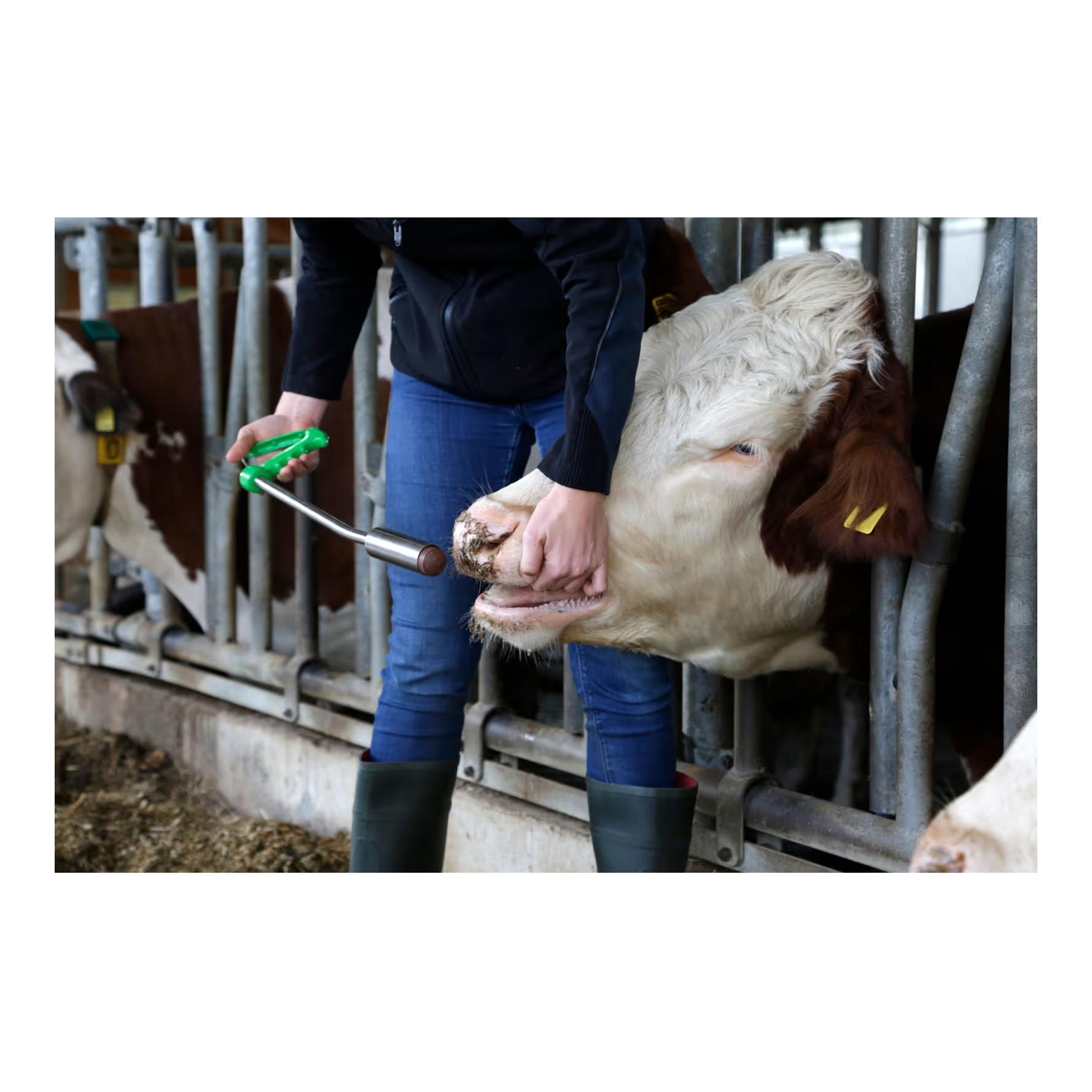AgroChemica Fertilgol Bolus - Bolus au bêta-carotène (fertilité)