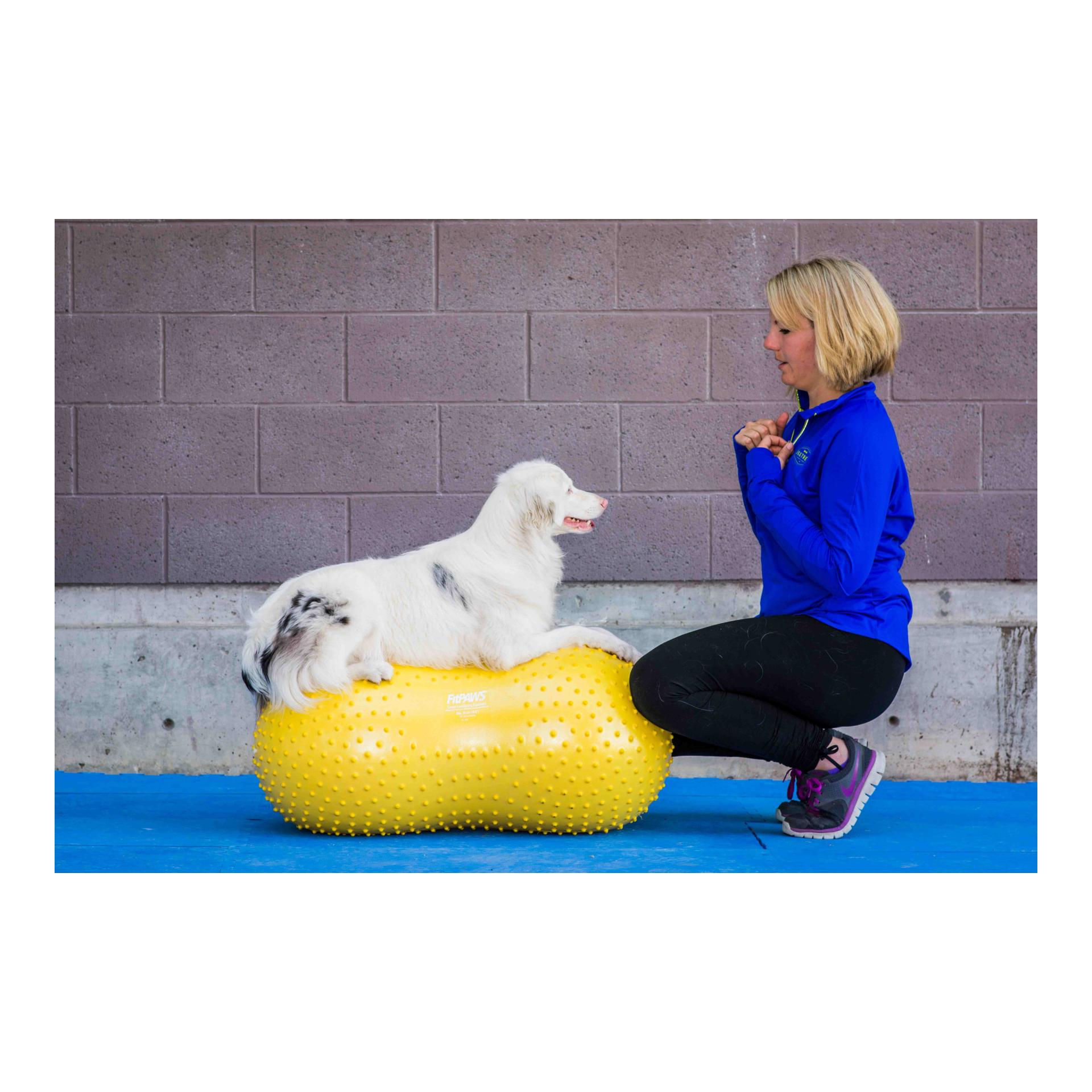 FitPaws TRAX Peanut