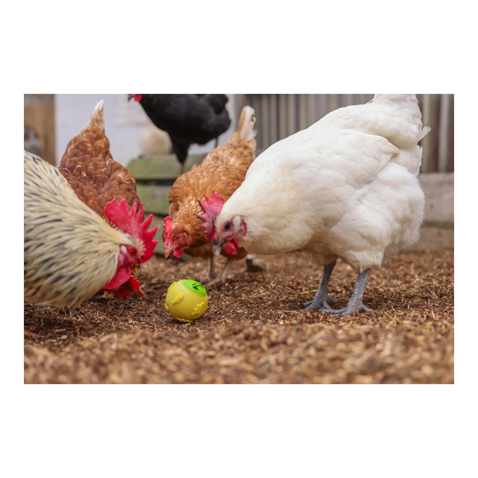 Kerbl Hobbyfarming Snackball für Hühner