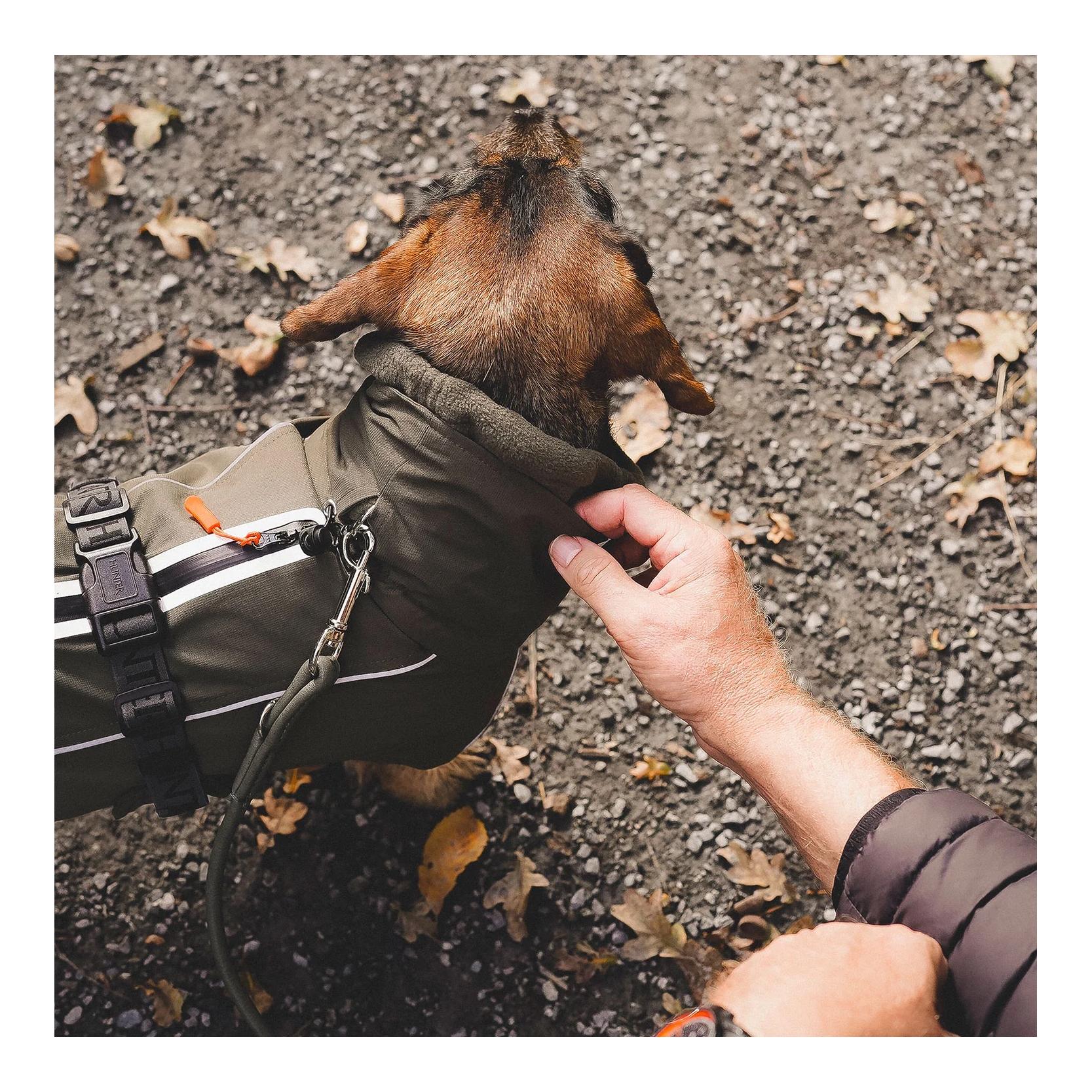 Hunter Manteau pour chien Nordby Dachshund
