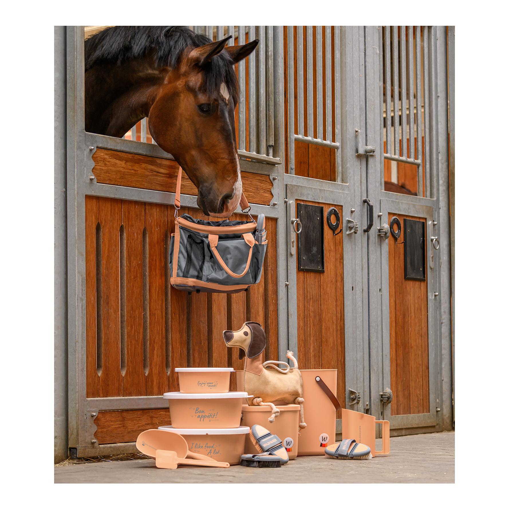 Waldhausen Jouet pour chevaux Teckel Dieter