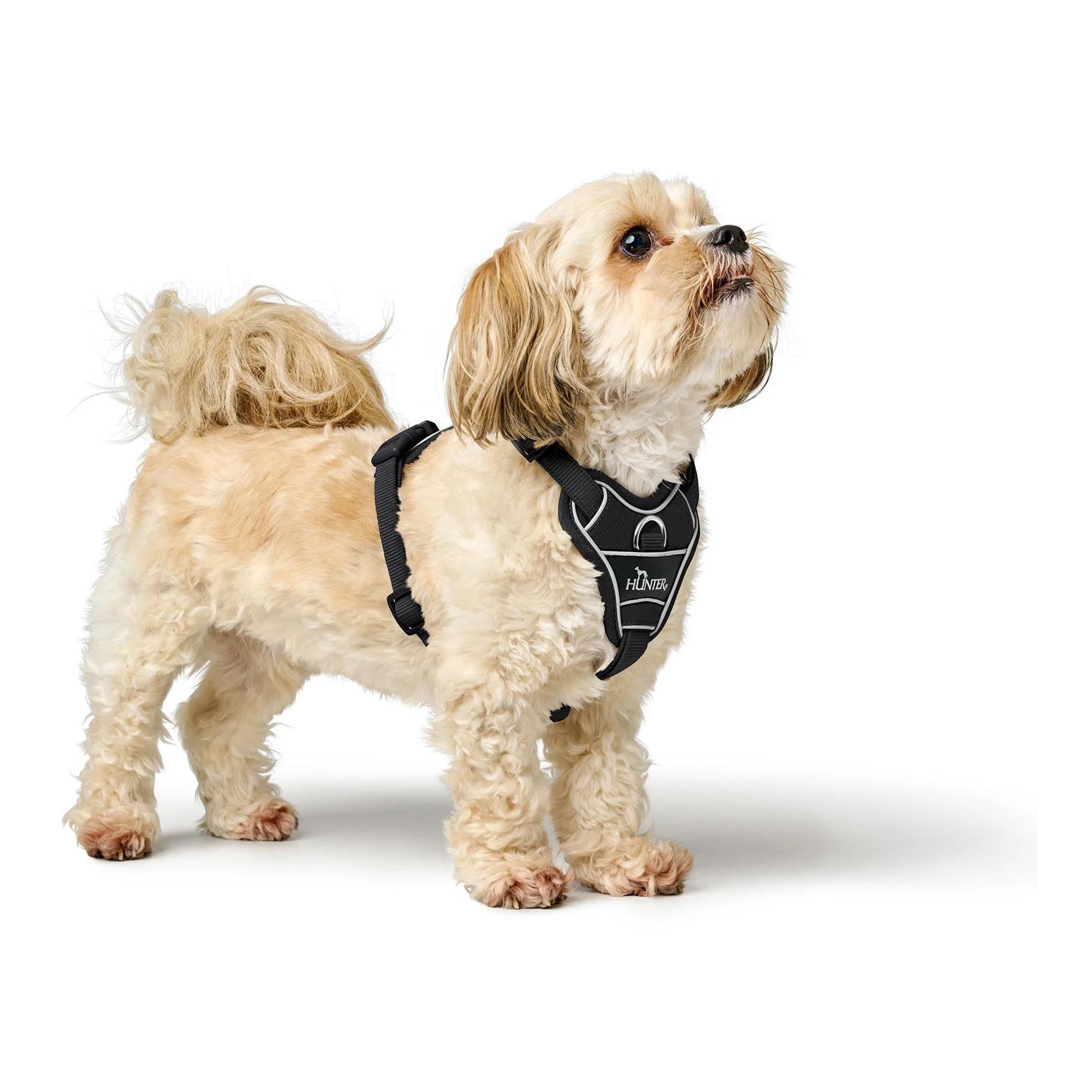 Hunter Hundegeschirr Divo Up