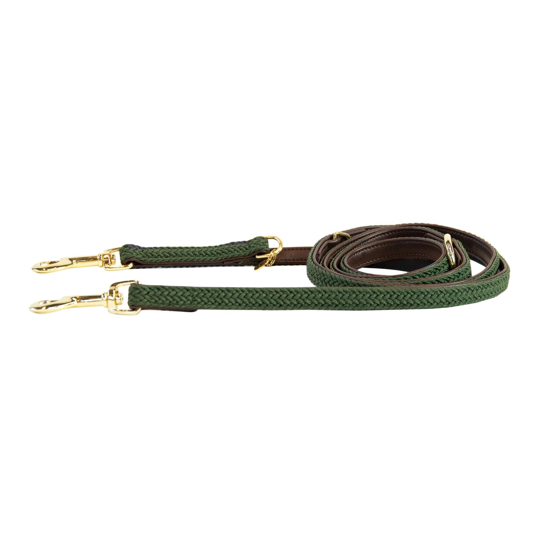 Kentucky Dogwear Laisse pour chien tressée en nylon - vert olive