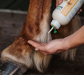 Hauptner-Pferd-KAT-Pflegeprodukte