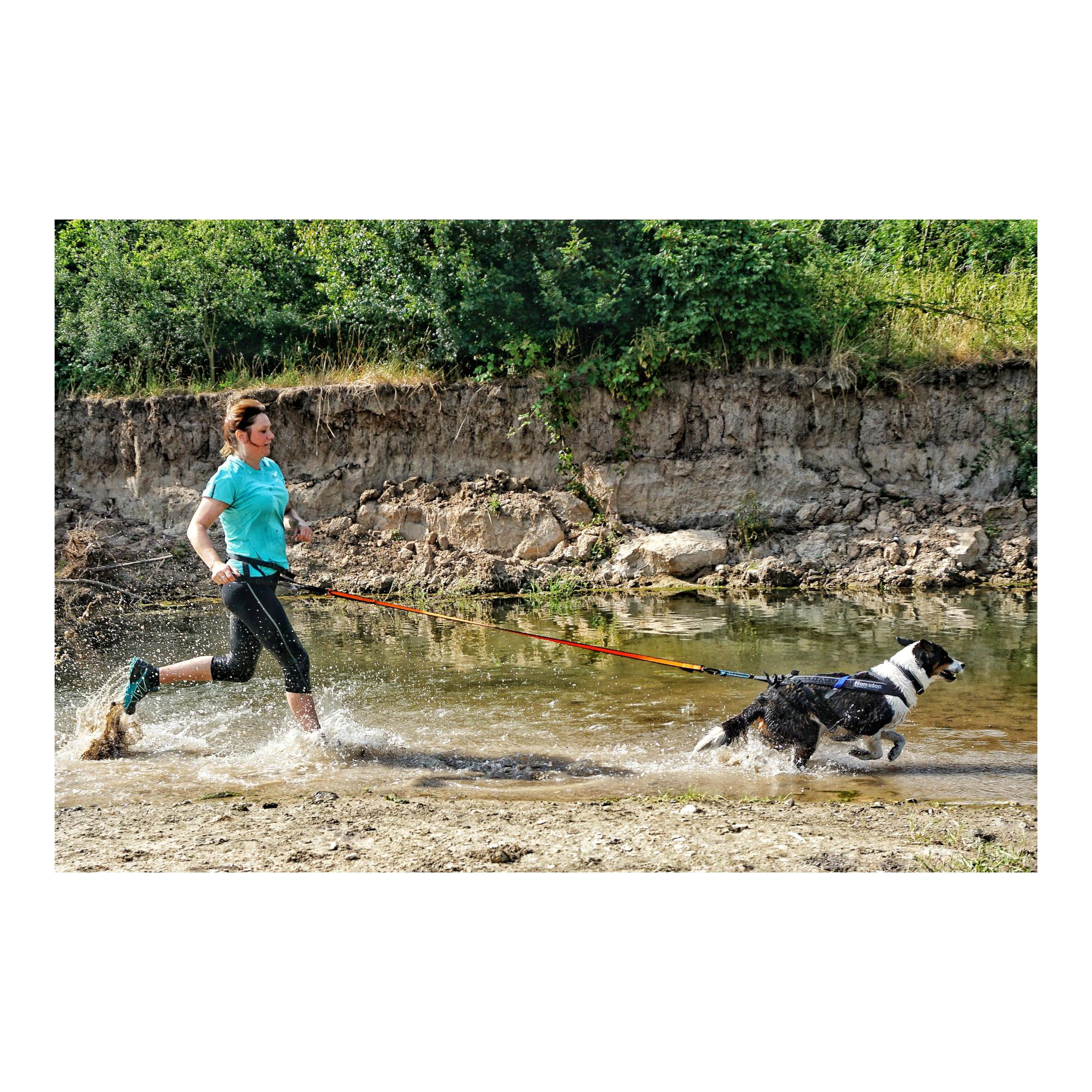 Non-stop Dogwear Joggingleine Bungee Leash