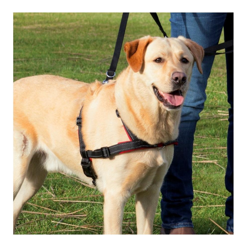 TRIXIE Lead'n'Walk Soft Erziehungsgeschirr - schwarz