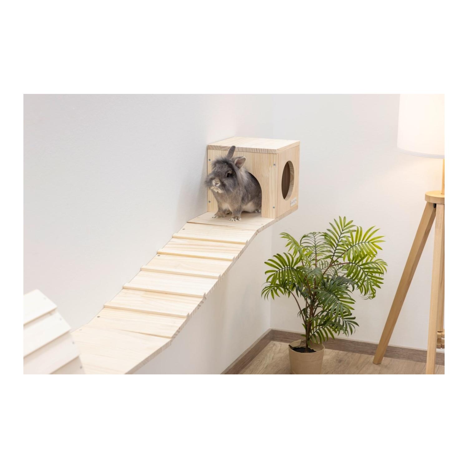 Kerbl Pet Parcours mural Skywalk pour petits animaux, 6 pièces