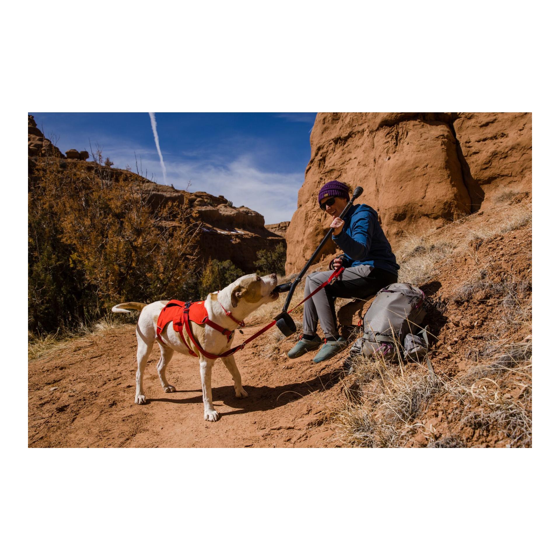 Ruffwear Web Master™ Geschirr