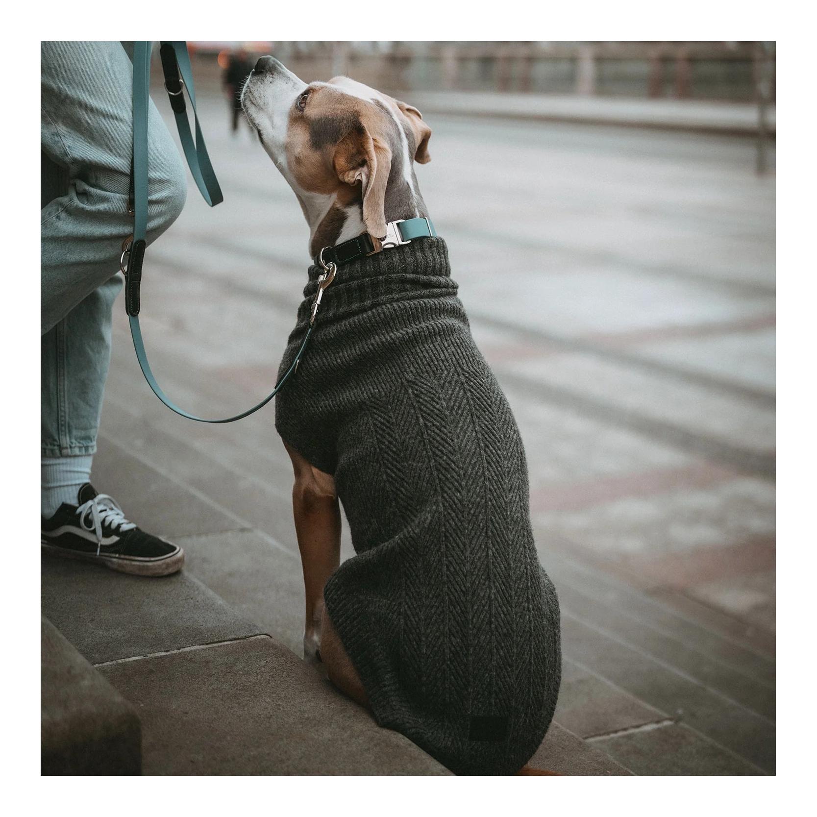 Hunter Pull pour chien Genève