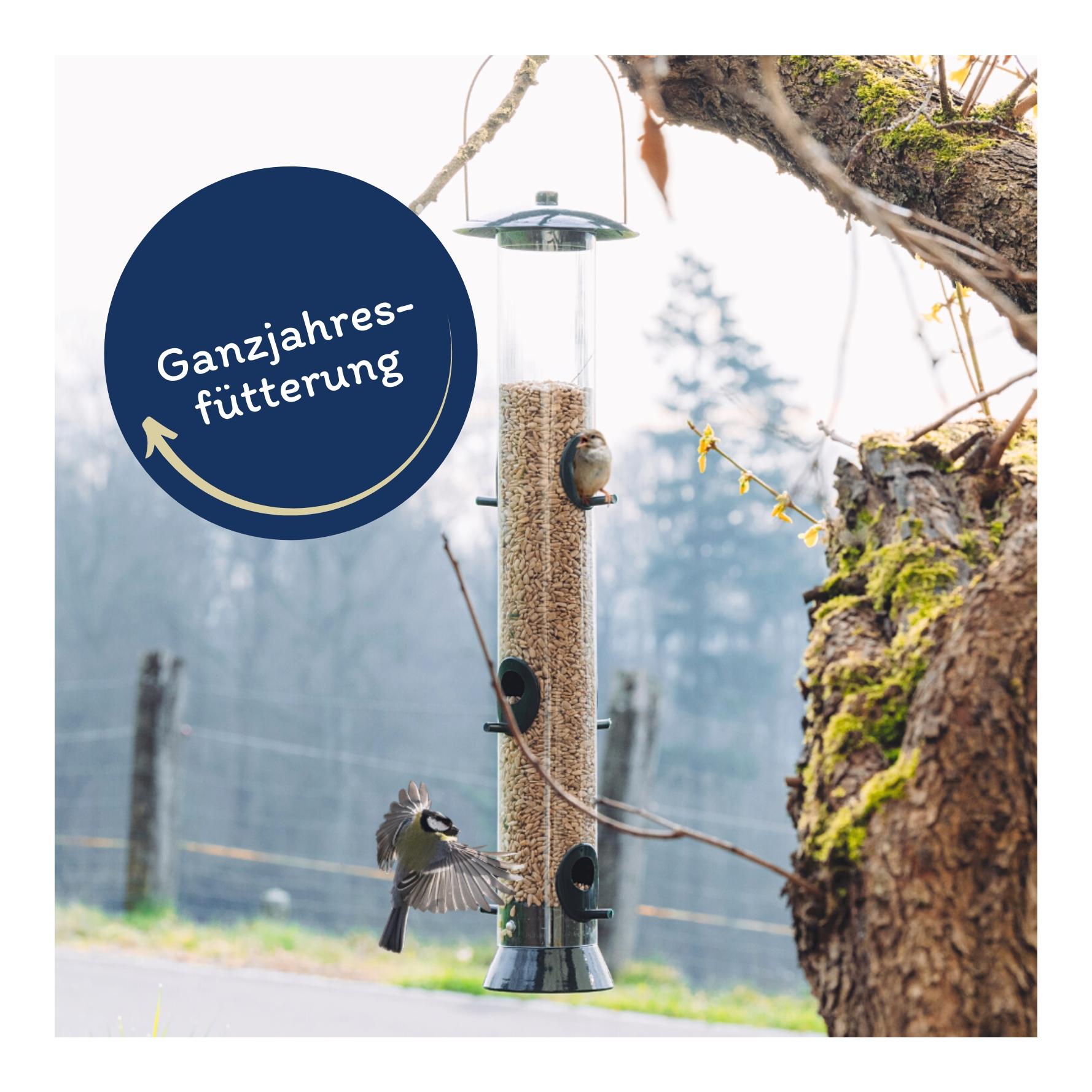 Lyra Pet Sonnenblumenkerne geschält