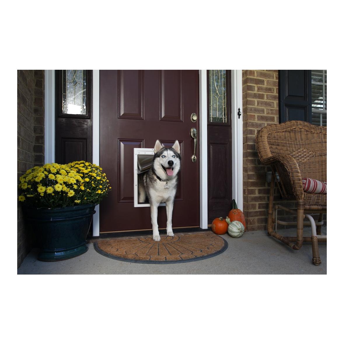 PetSafe Extrem Wetter Hundeklappe - weiss