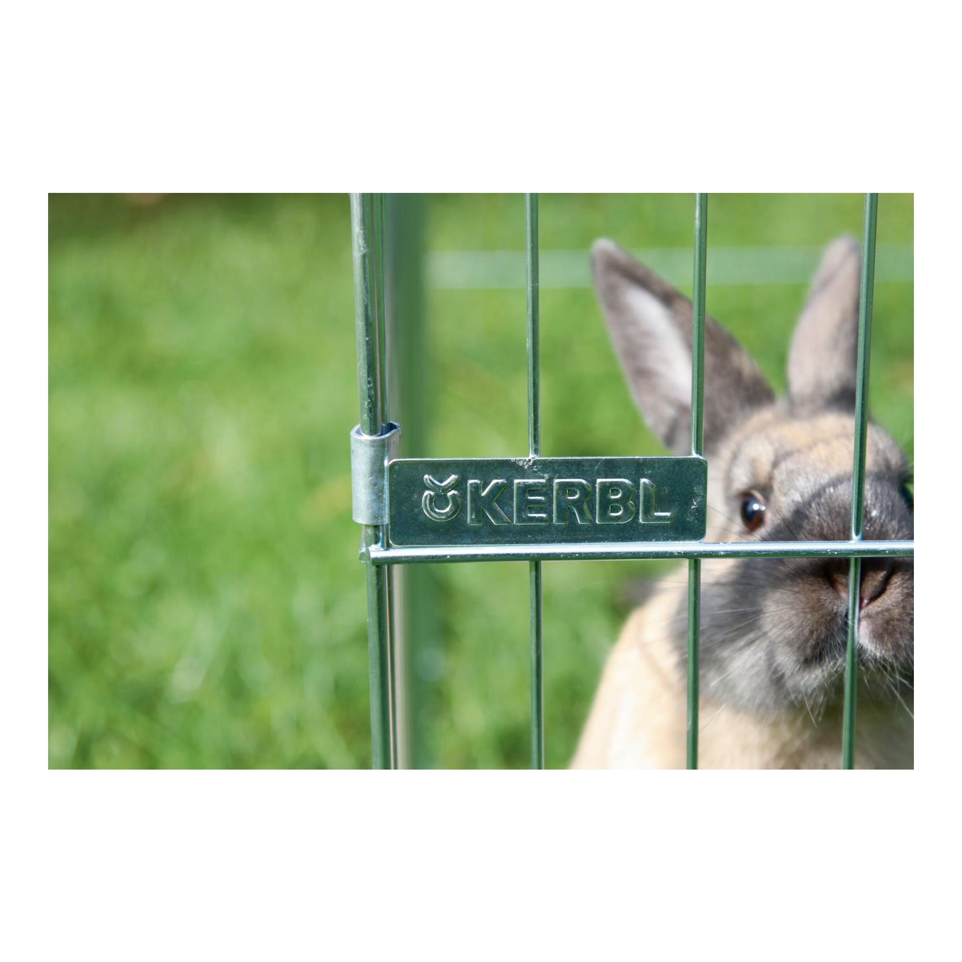 Kerbl Pet Freilaufgehege Easy