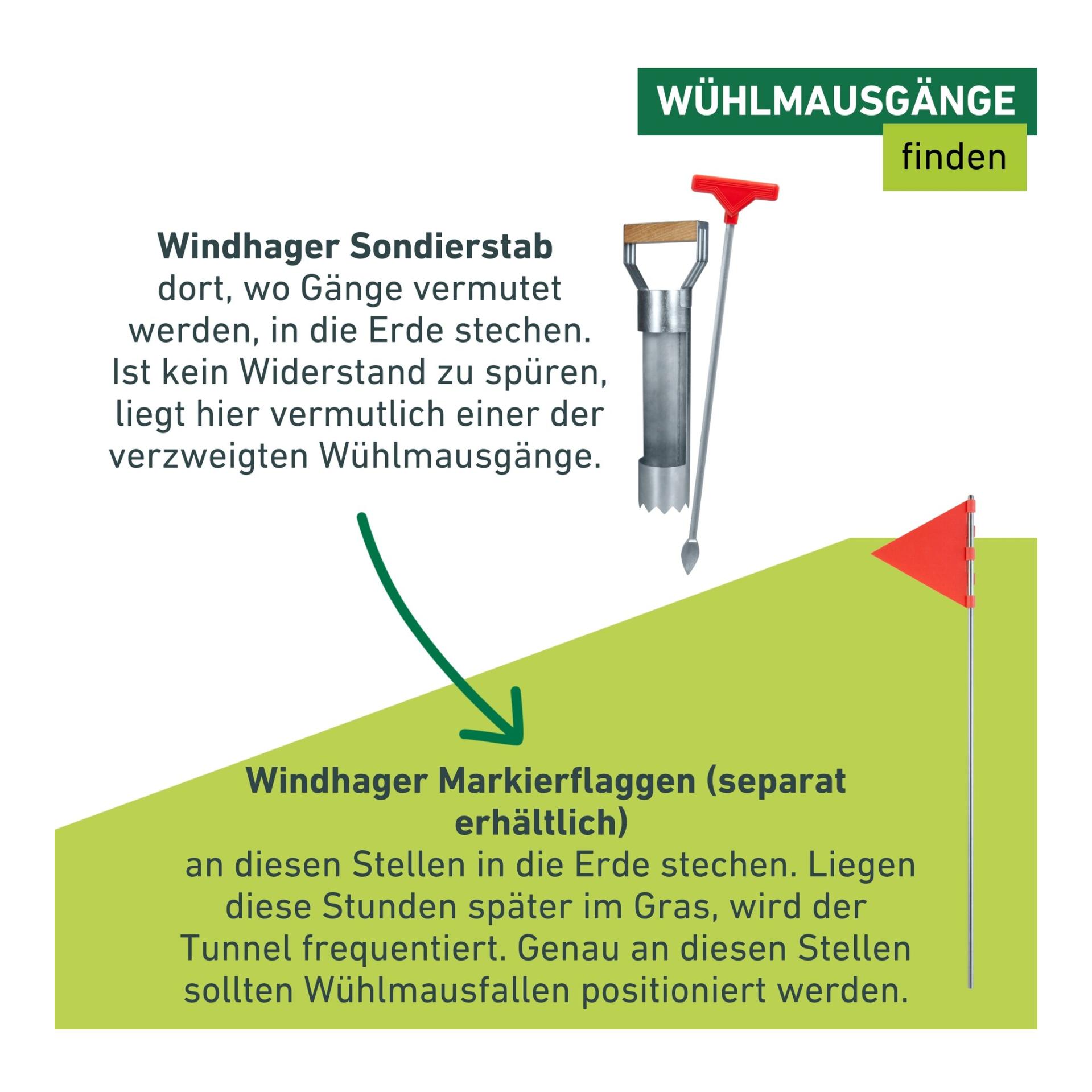 Windhager Accessoires pour piège à campagnol -> tige de sondage et emporte-pièce
