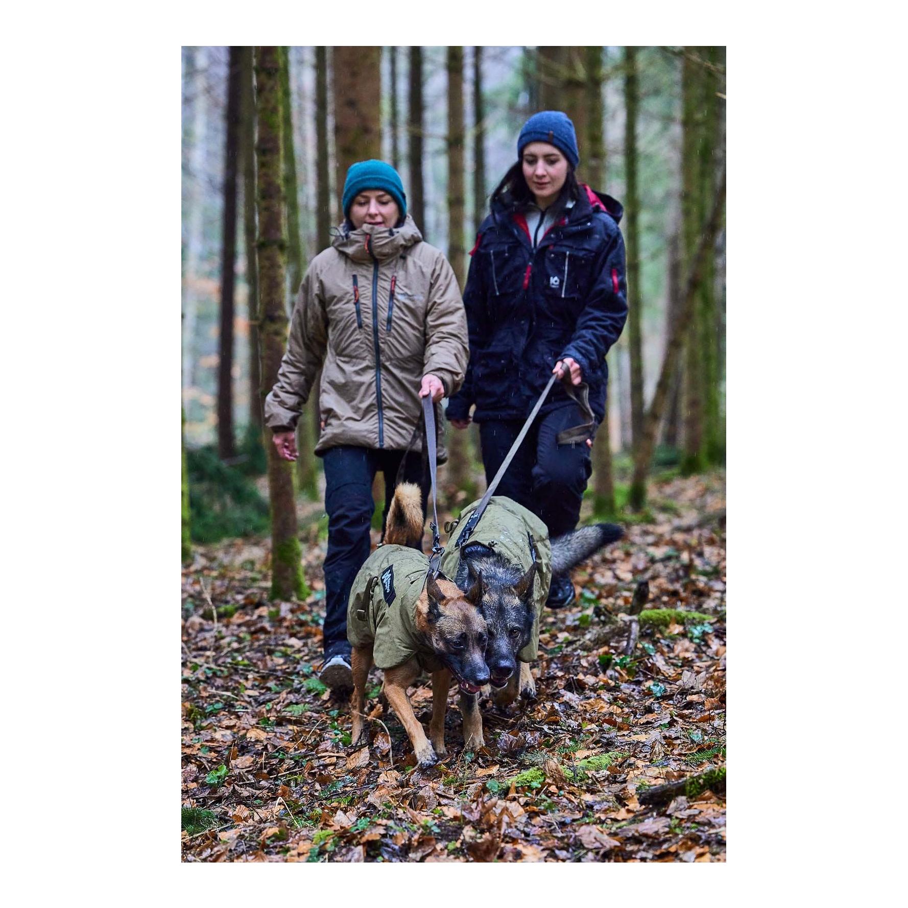 Non-stop Dogwear Laisse pour chien Solid Leash Working Dog