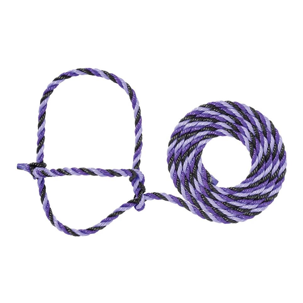 Schwarz/Lila/Lavendel