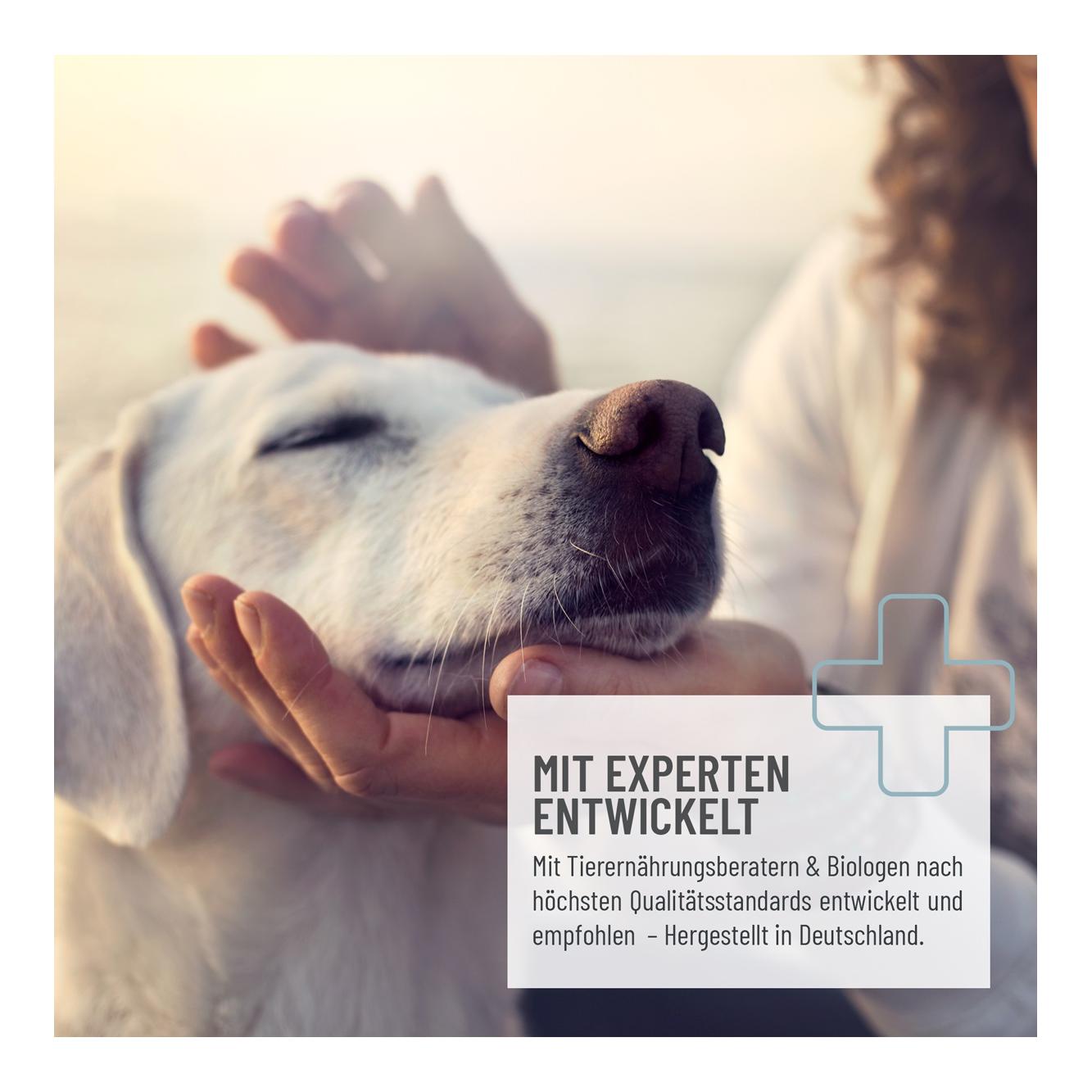 Reavet Snack de repos