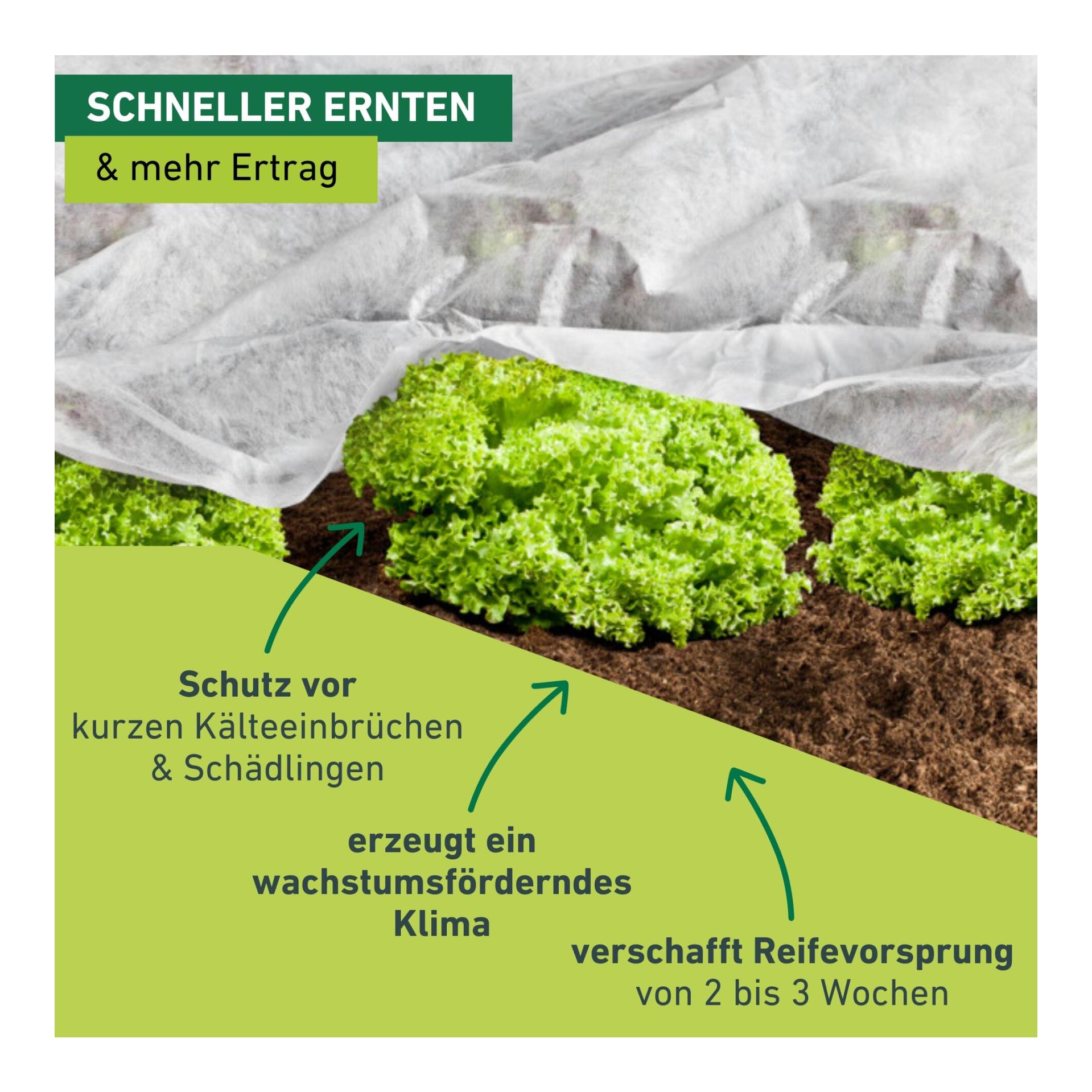 Windhager Wachstumsvlies Greenline