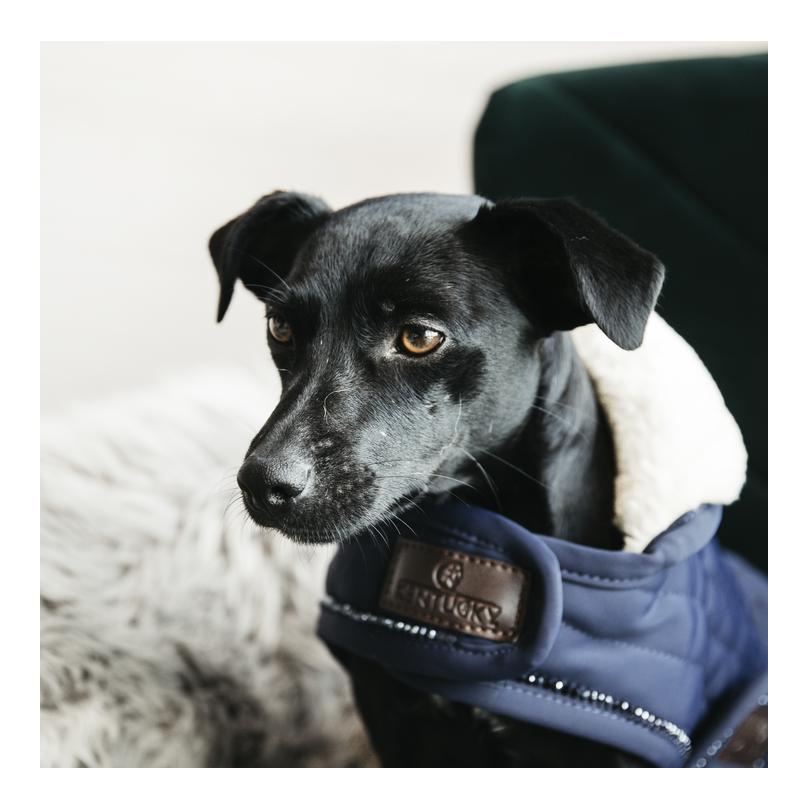 Kentucky Dogwear Hundemantel Dog Coat Pearls - navy