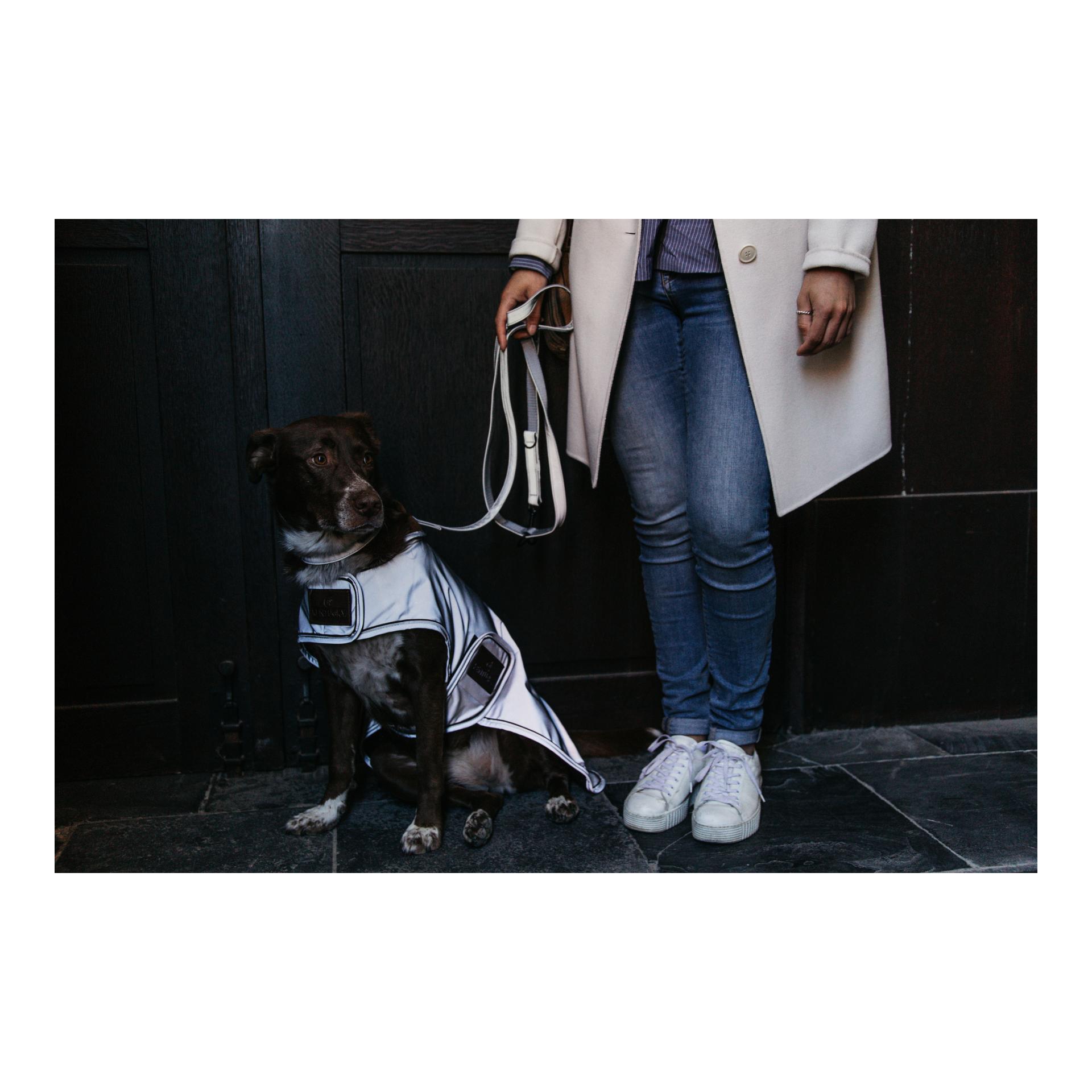 Kentucky Dogwear Manteau pour chien réfléchissant &amp; imperméable