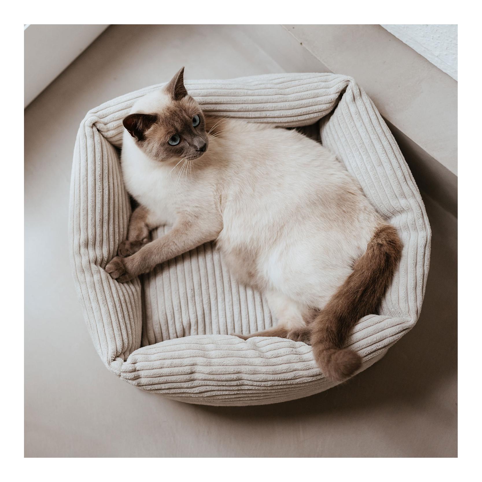 Stylecats by Hunter Katzenbett Rimini