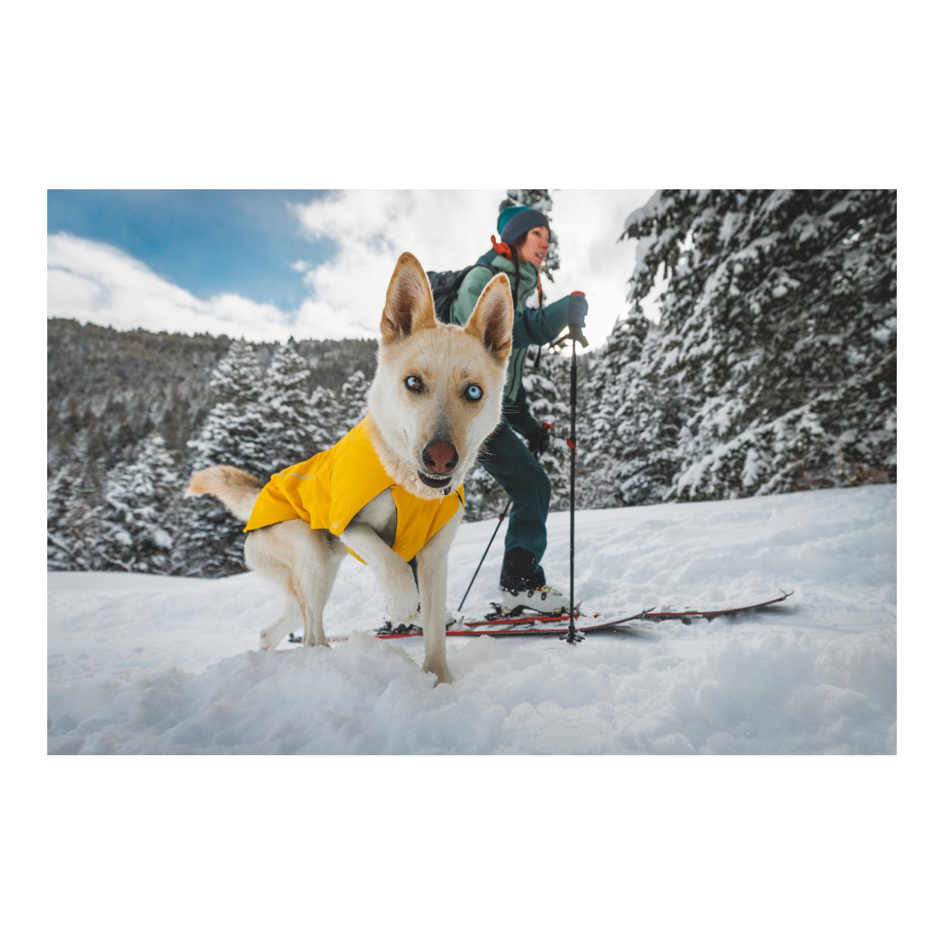 Ruffwear Manteau pour chien Vert Jacket