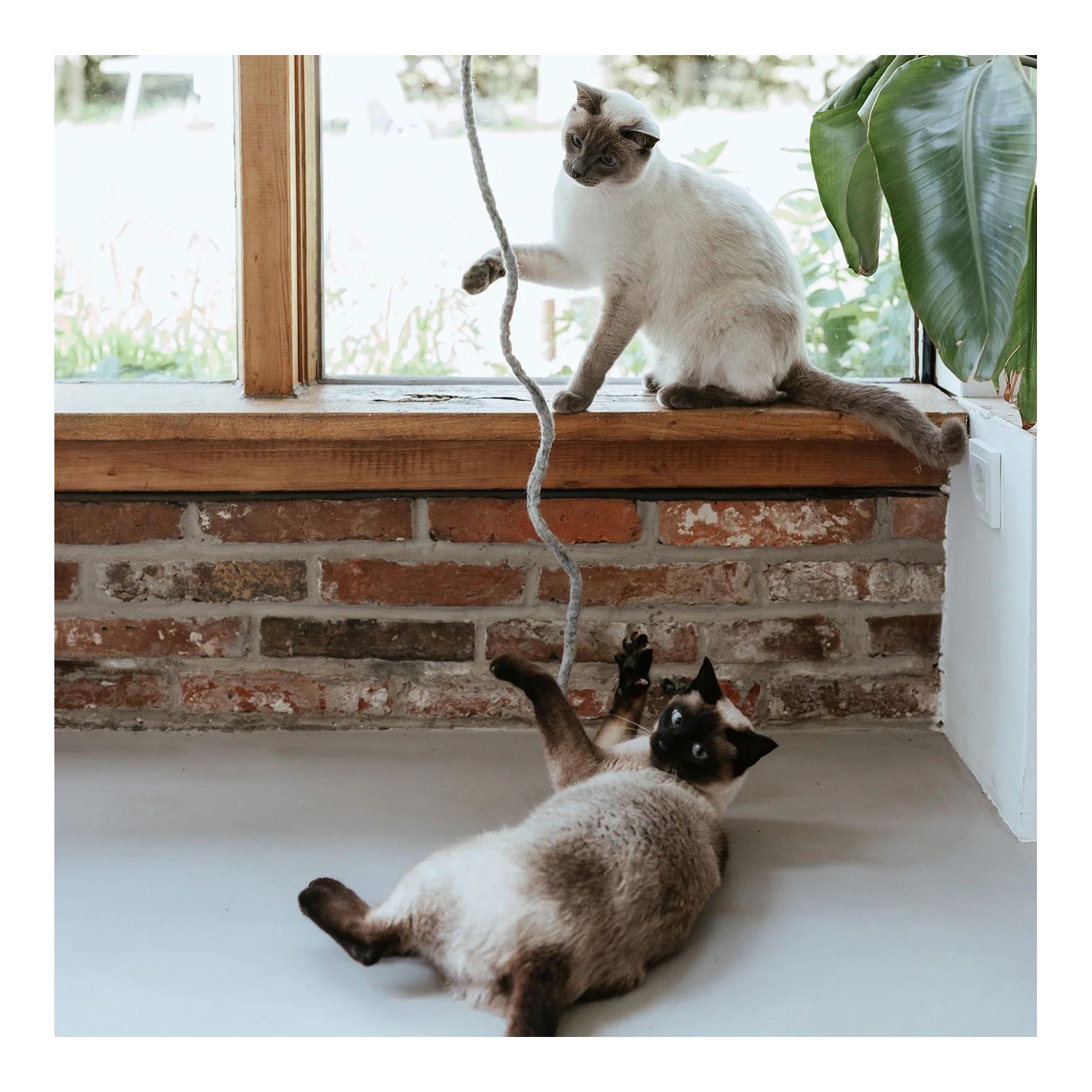Stylecats by Hunter Katzenspielzeug Snaky