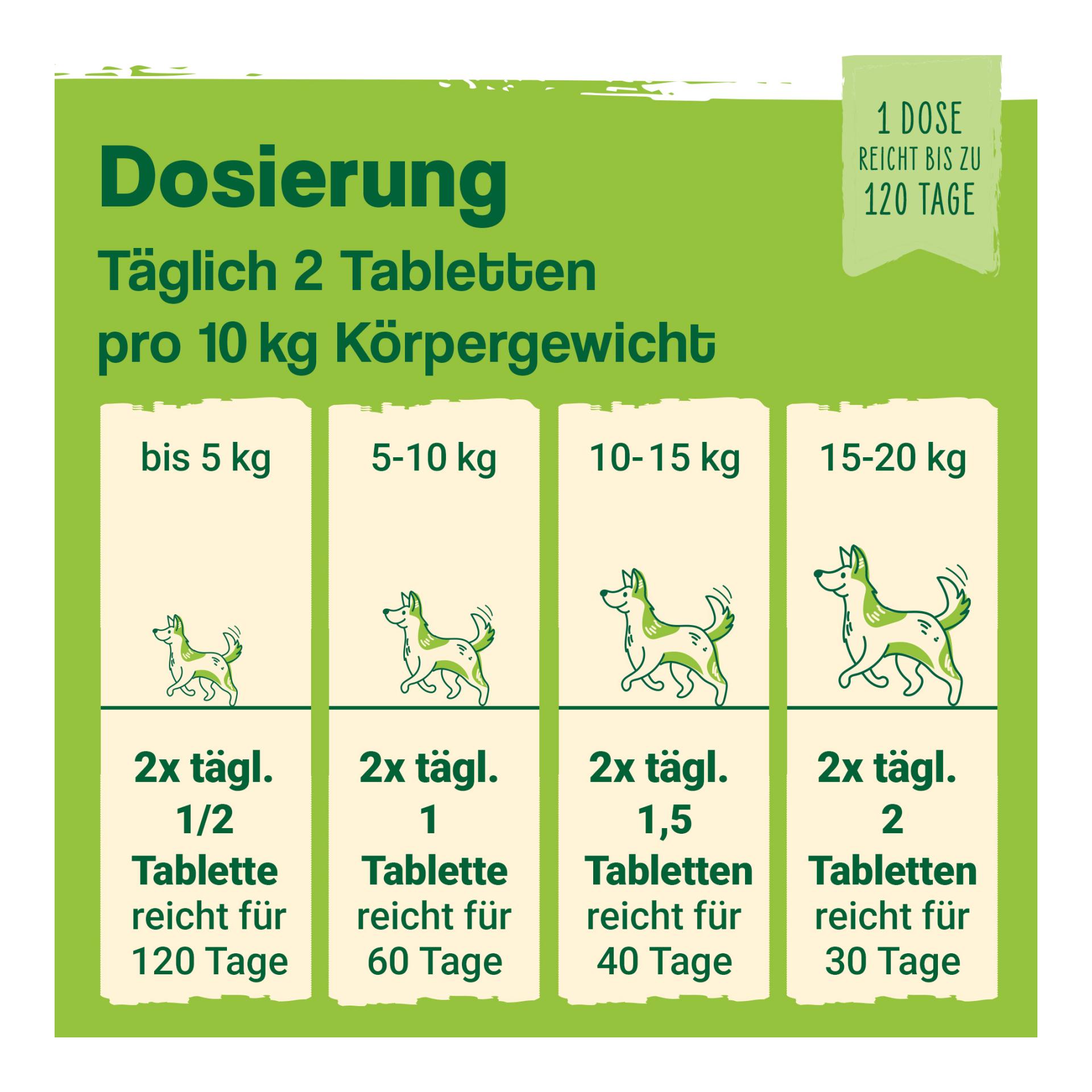 IdaPlus Darmbiotic - Probiotika zur Darmsanierung