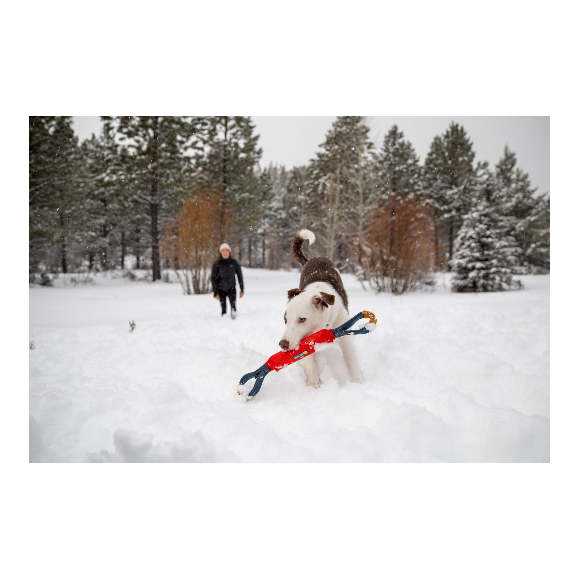 Ruffwear Pacific Loop™ Jouet pour chiens
