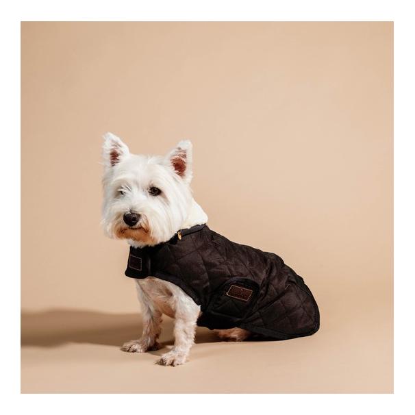 Kentucky Dogwear Hundemantel Original - brown