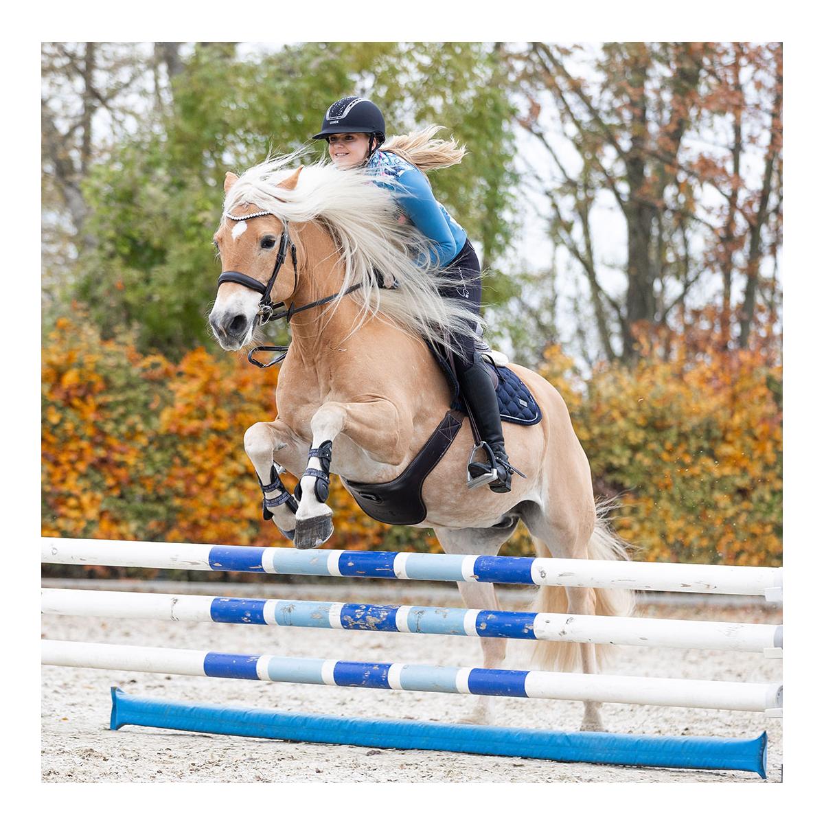 Soulhorse Stepp-Mix-Jacke "Crazy Connection"