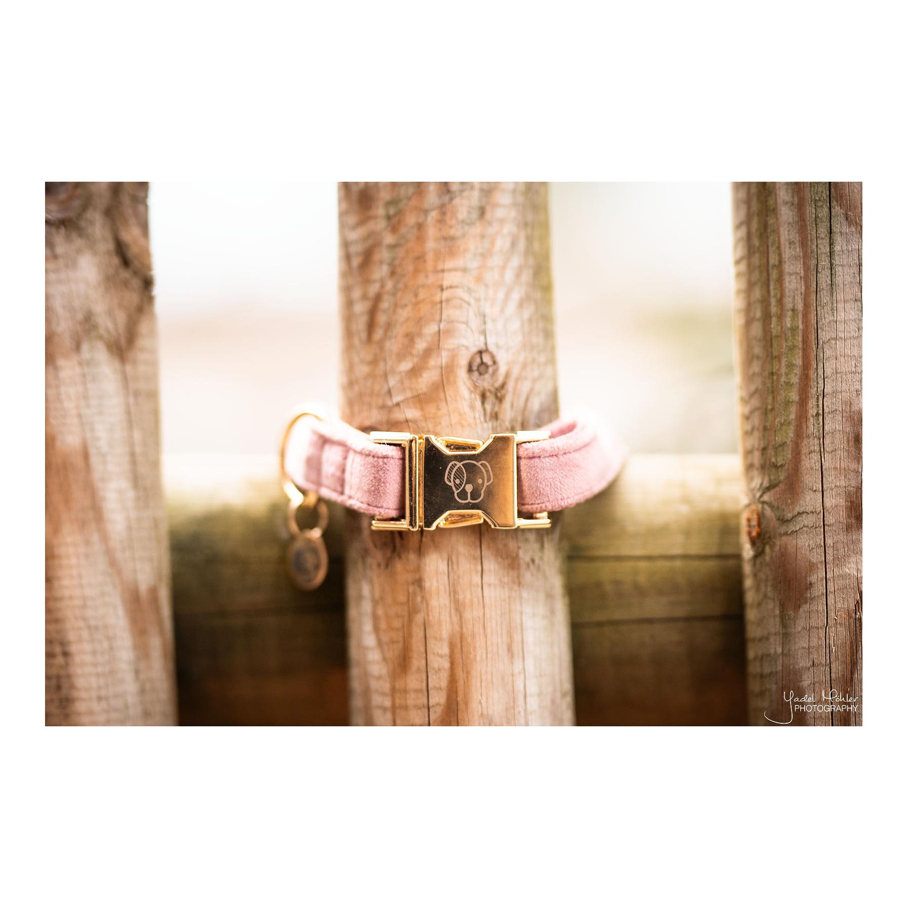 Kentucky Dogwear Collier pour chien velours - vieux rose