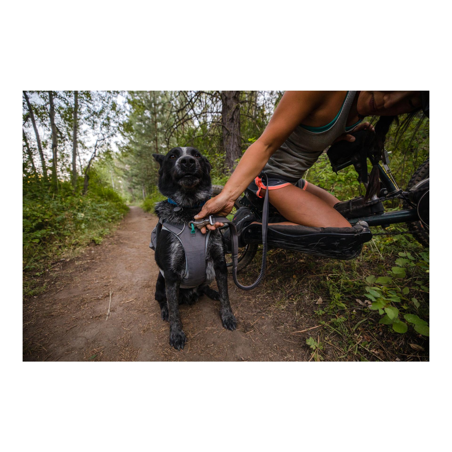 Ruffwear Joggingleine Roamer™ Leash Hundeleine - granite gray