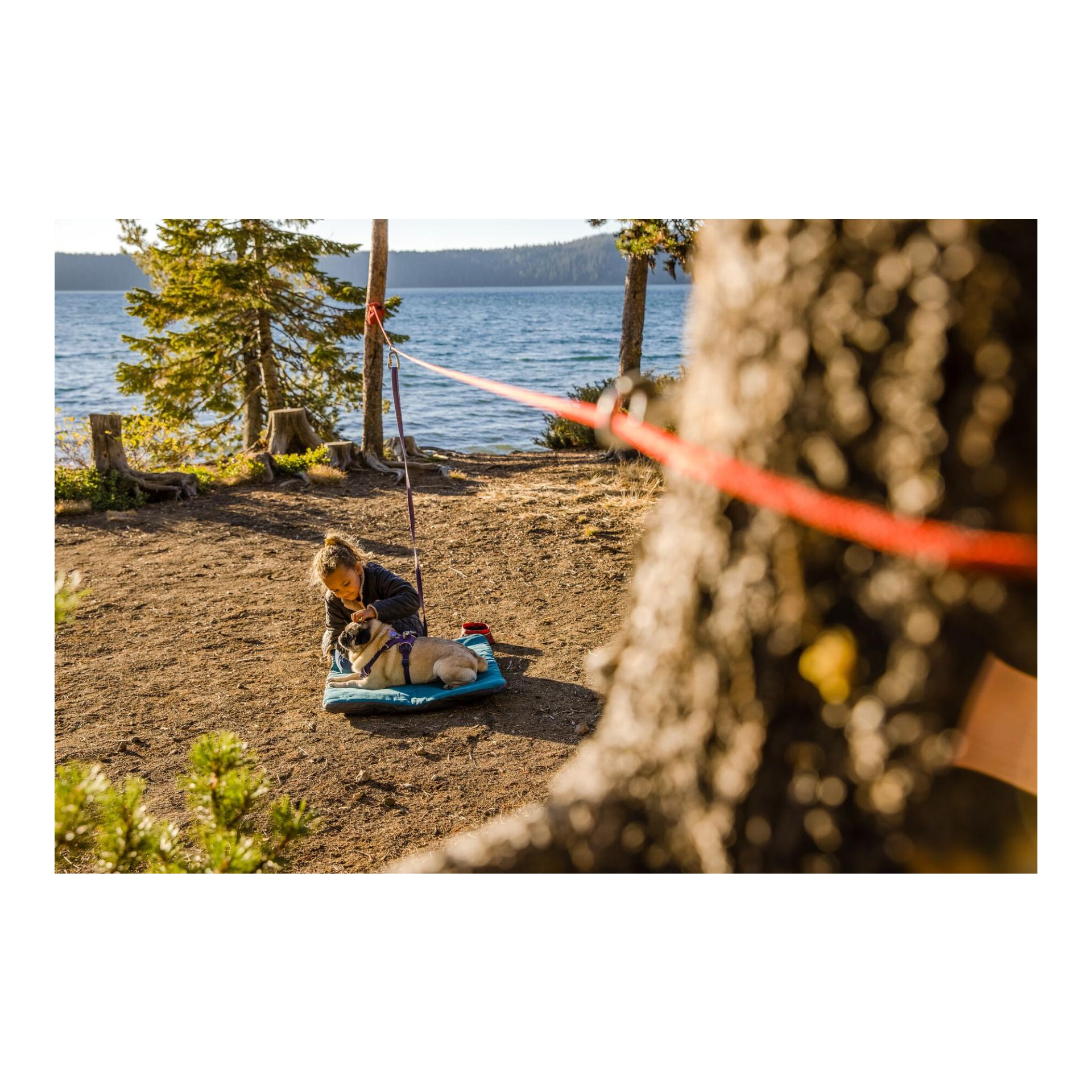 Ruffwear Knot-a-Hitch™ - Système d'attache pour chien