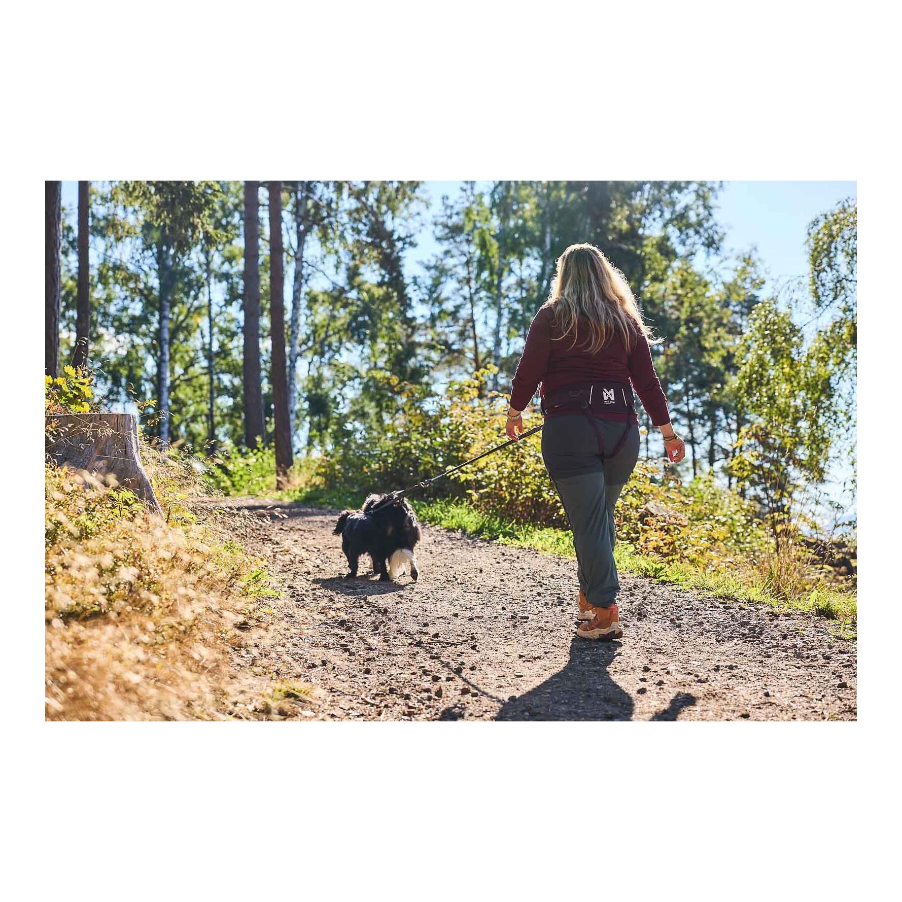 Non-stop Dogwear Ceinture de randonnée 2.0
